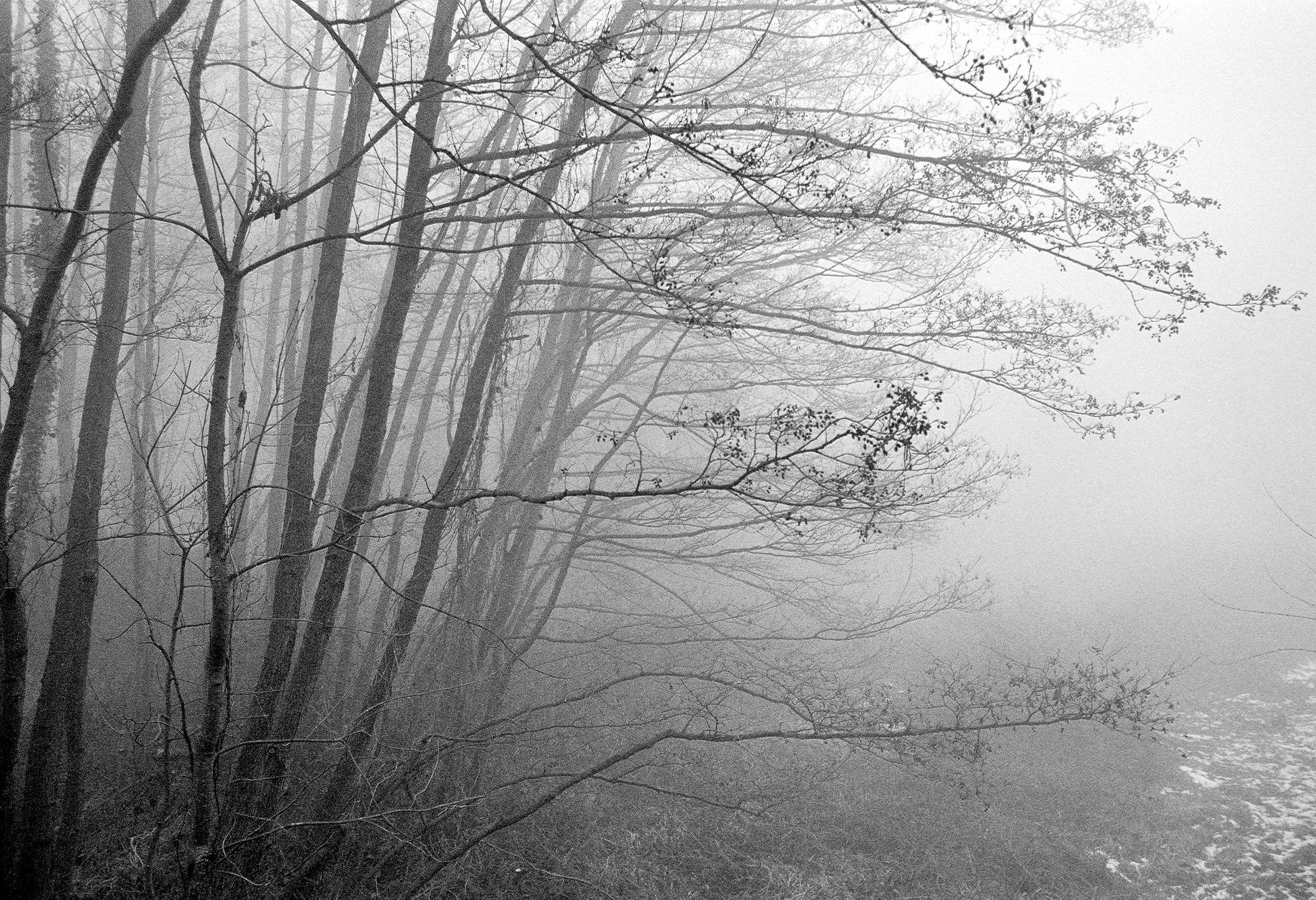 cosina ct1 super smc Pentax 28mm f / 2.8 kodak trix 400