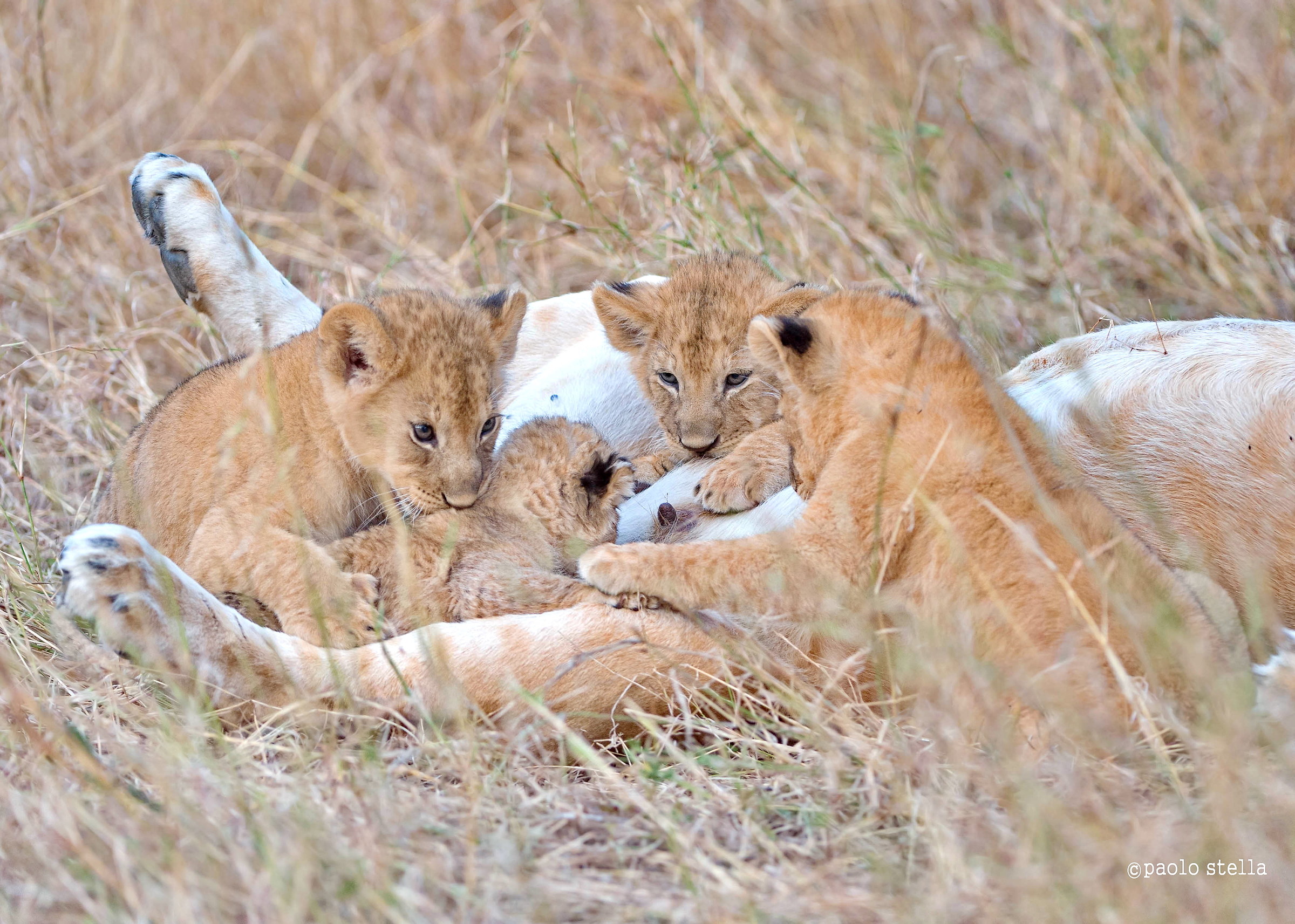 there is something for everyone !!