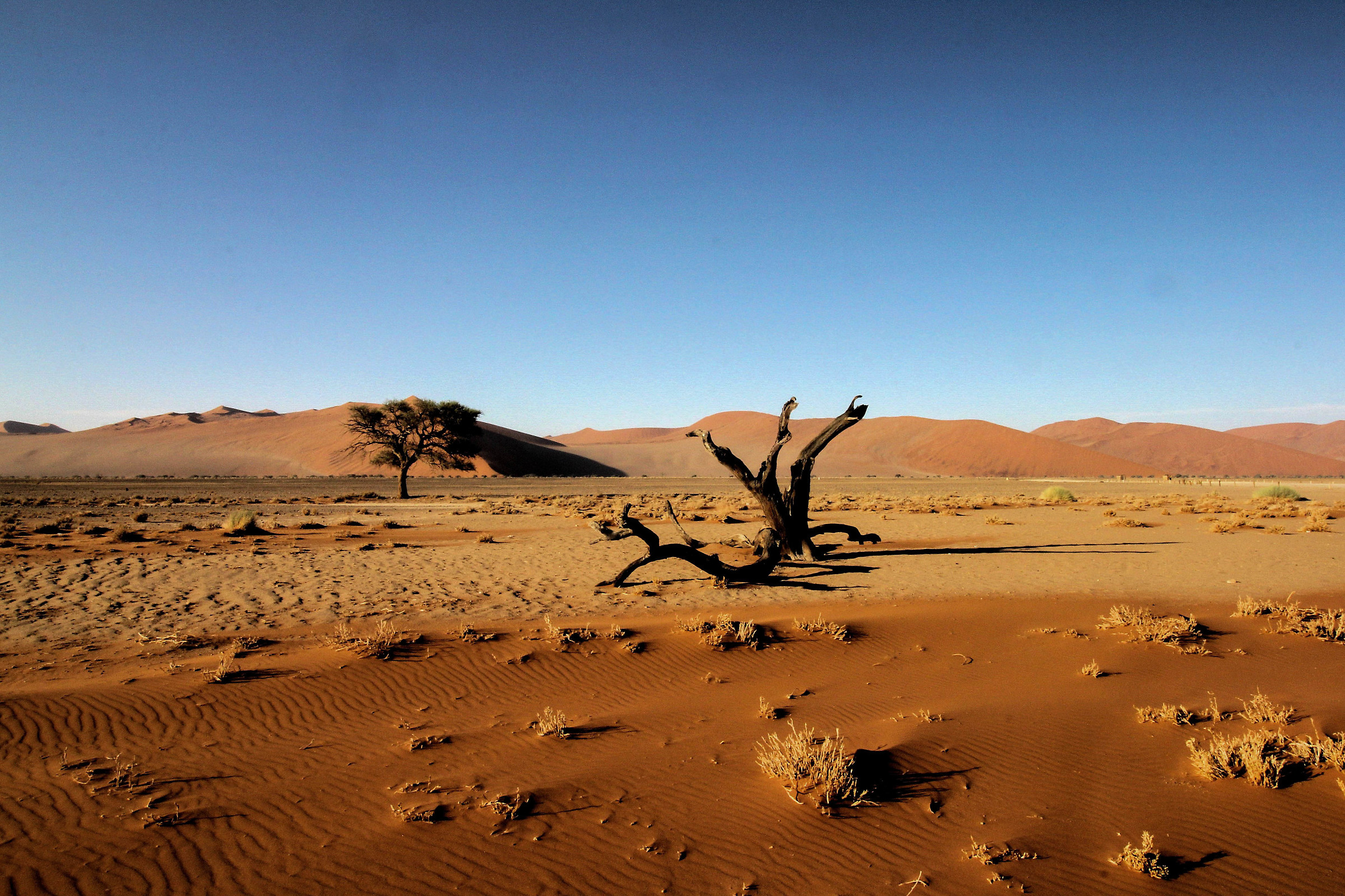 Deserto Namib