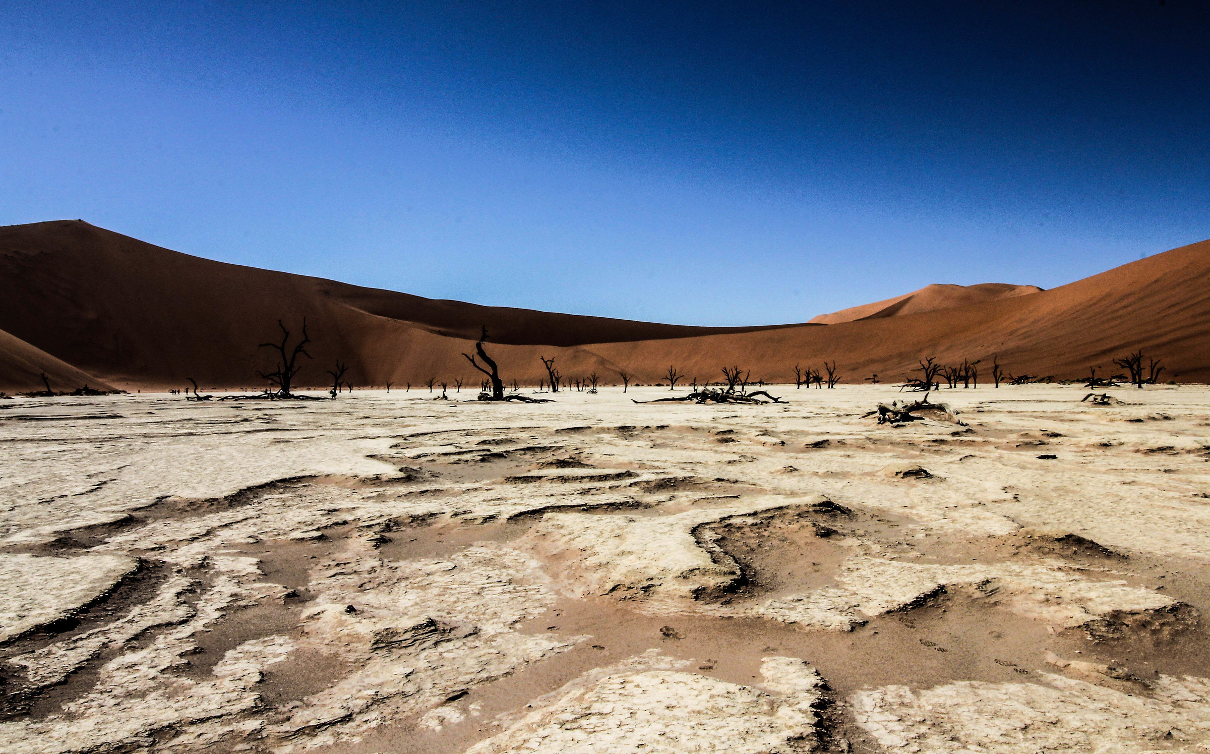 Deadvlei