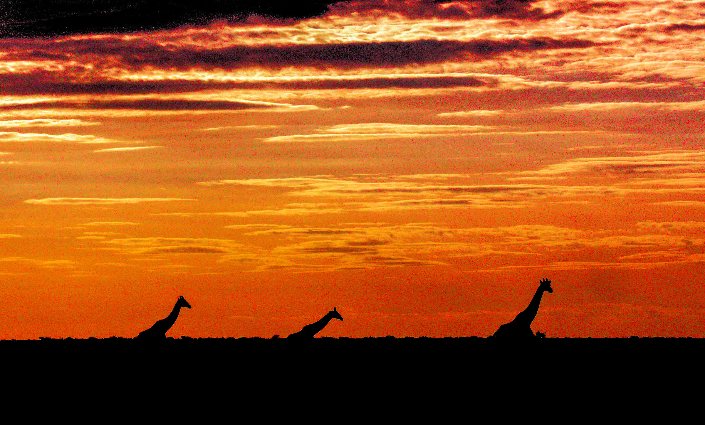 Tramonto nell'Etosha