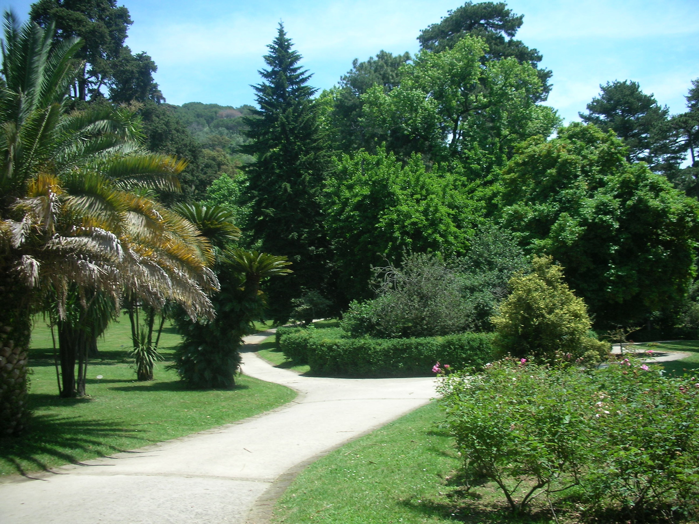 Botanical Garden