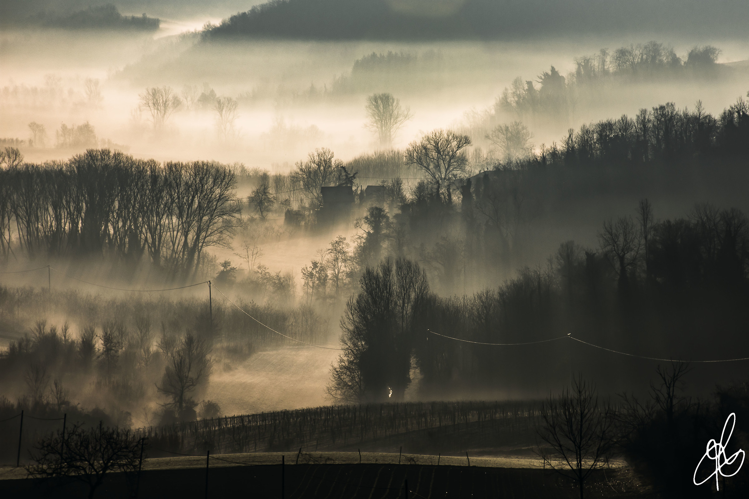 mists Monferrine