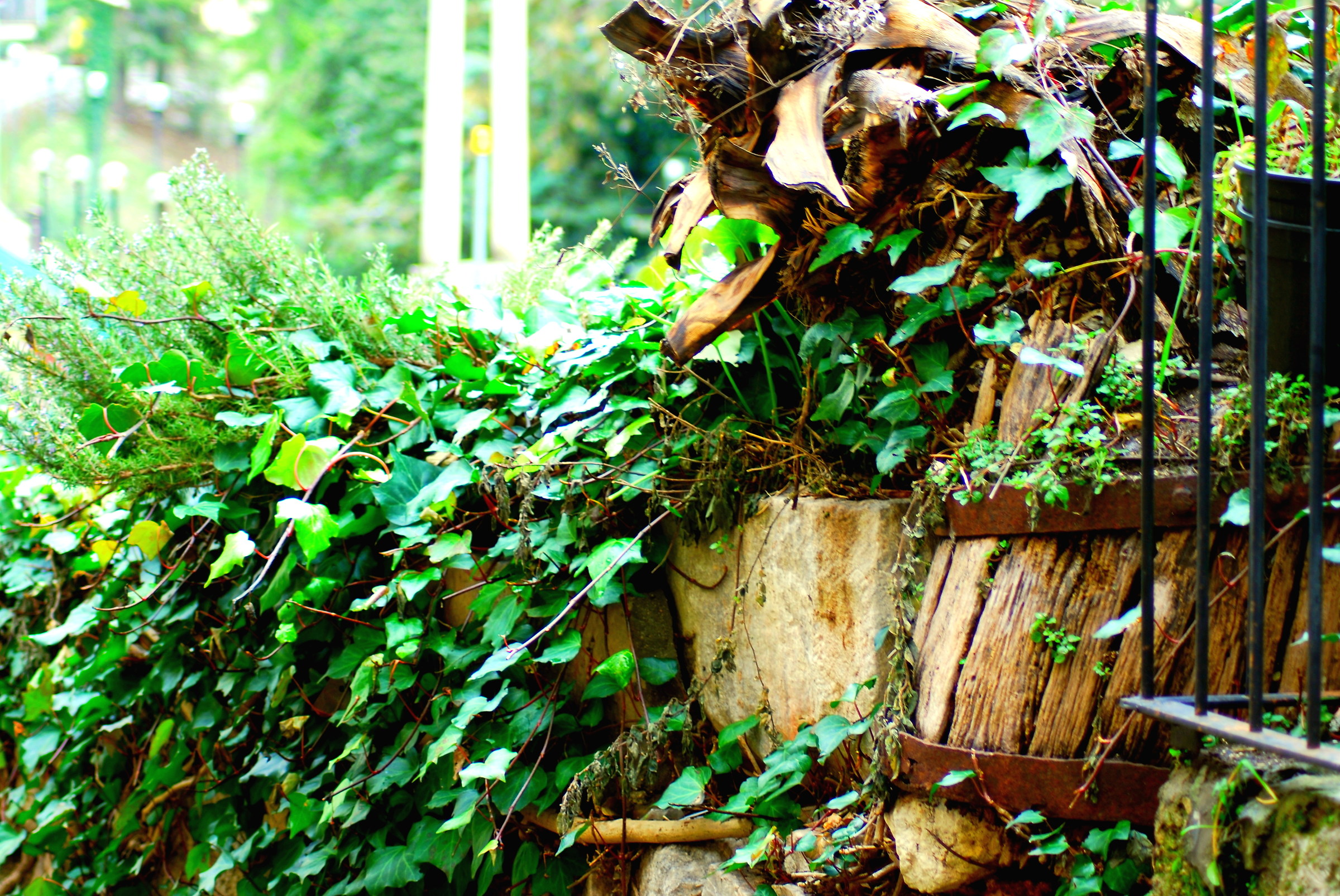 quella botte ha passato giorni migliori