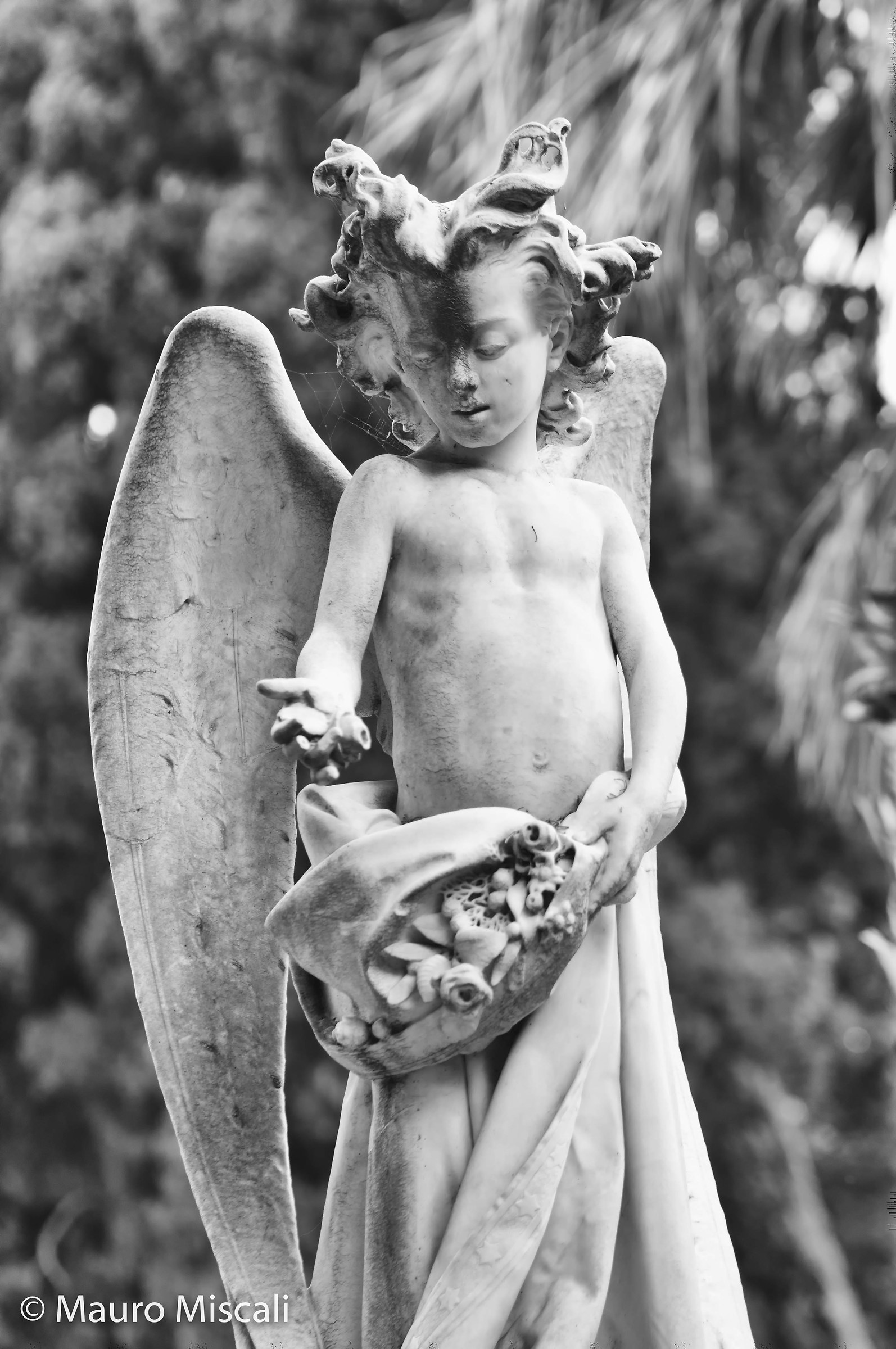 #CimiteriMonumentali