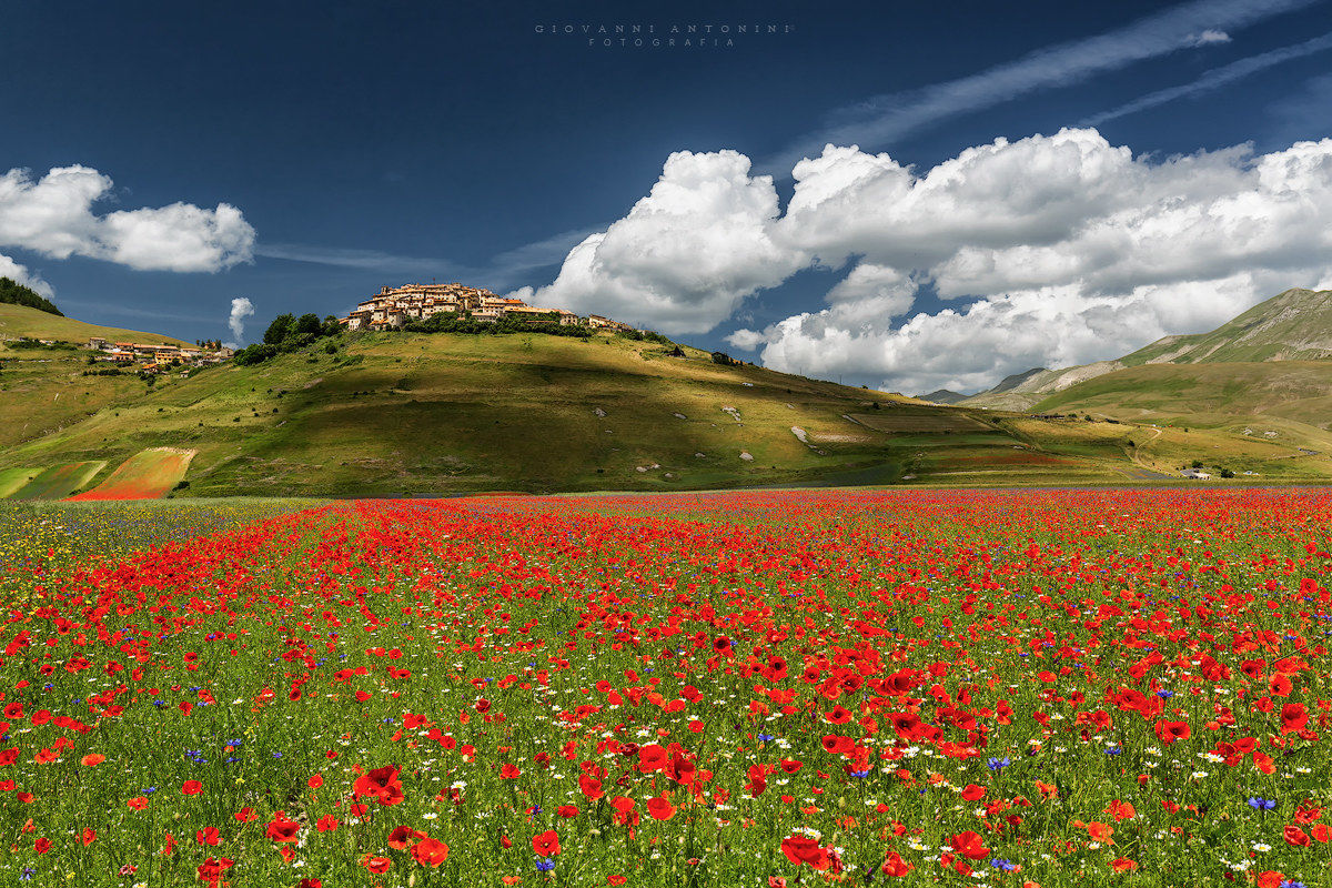 Castelluccio Nostalgia