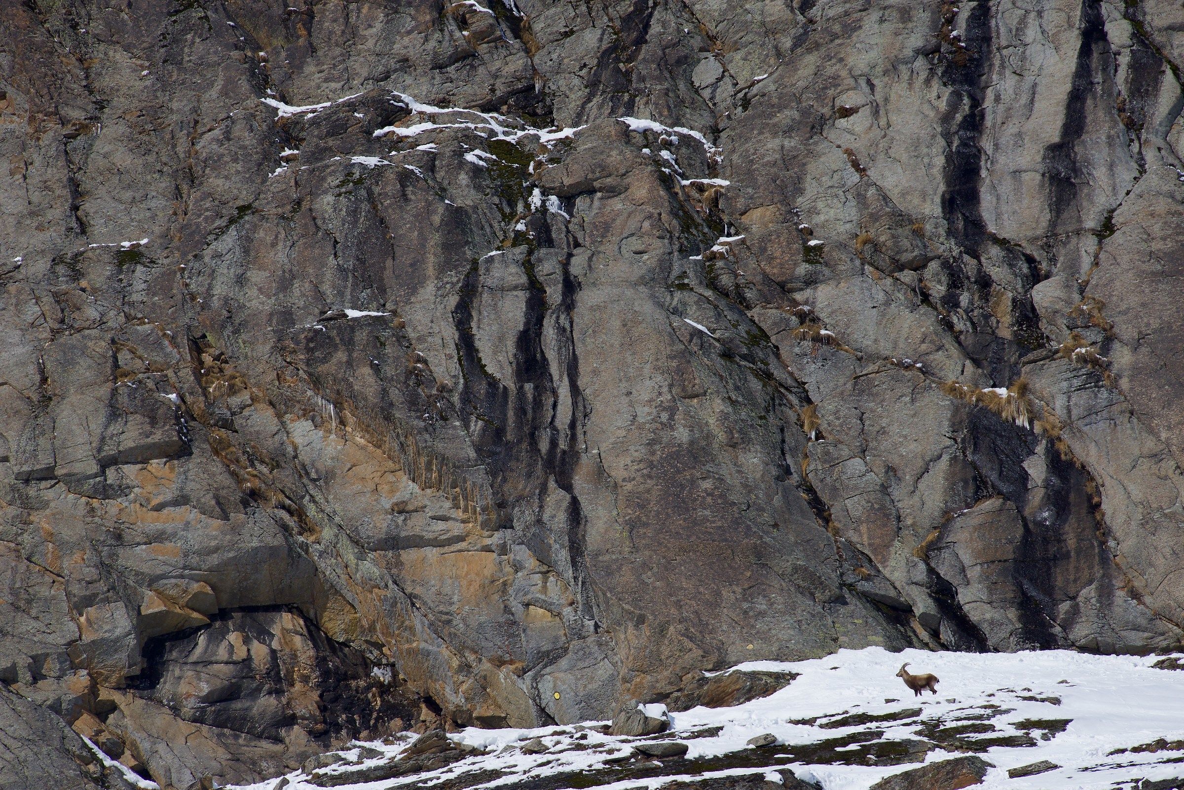 The King of the mountain