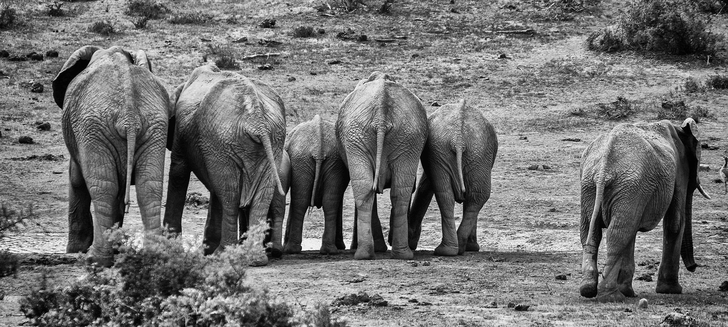 Scusate le spalle :-)