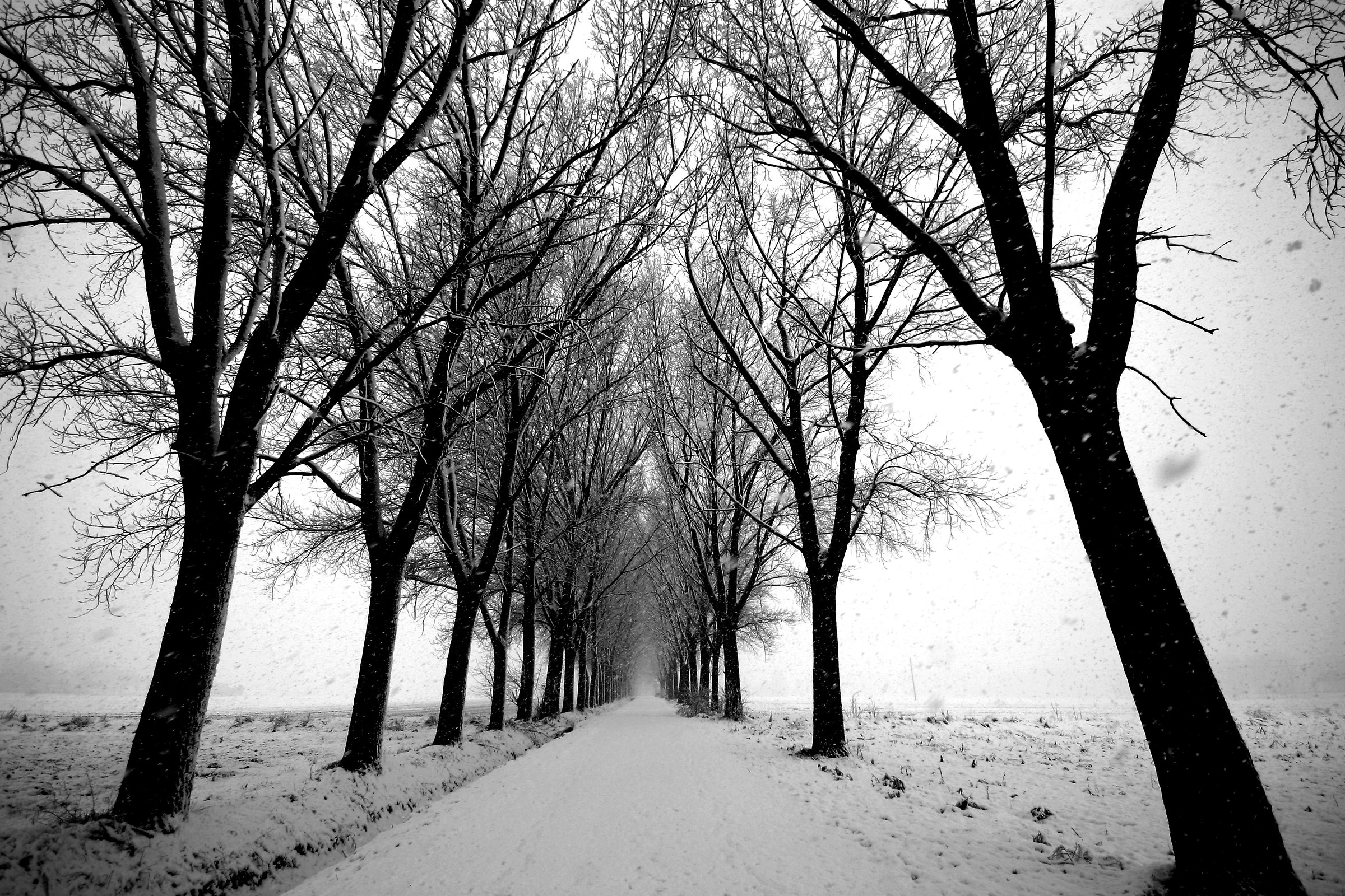 the way of childhood dreams