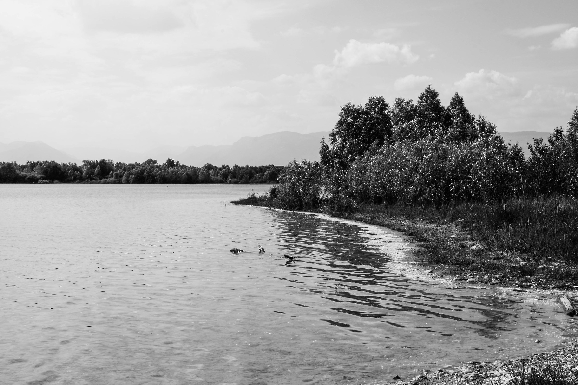 parte del lago a sud