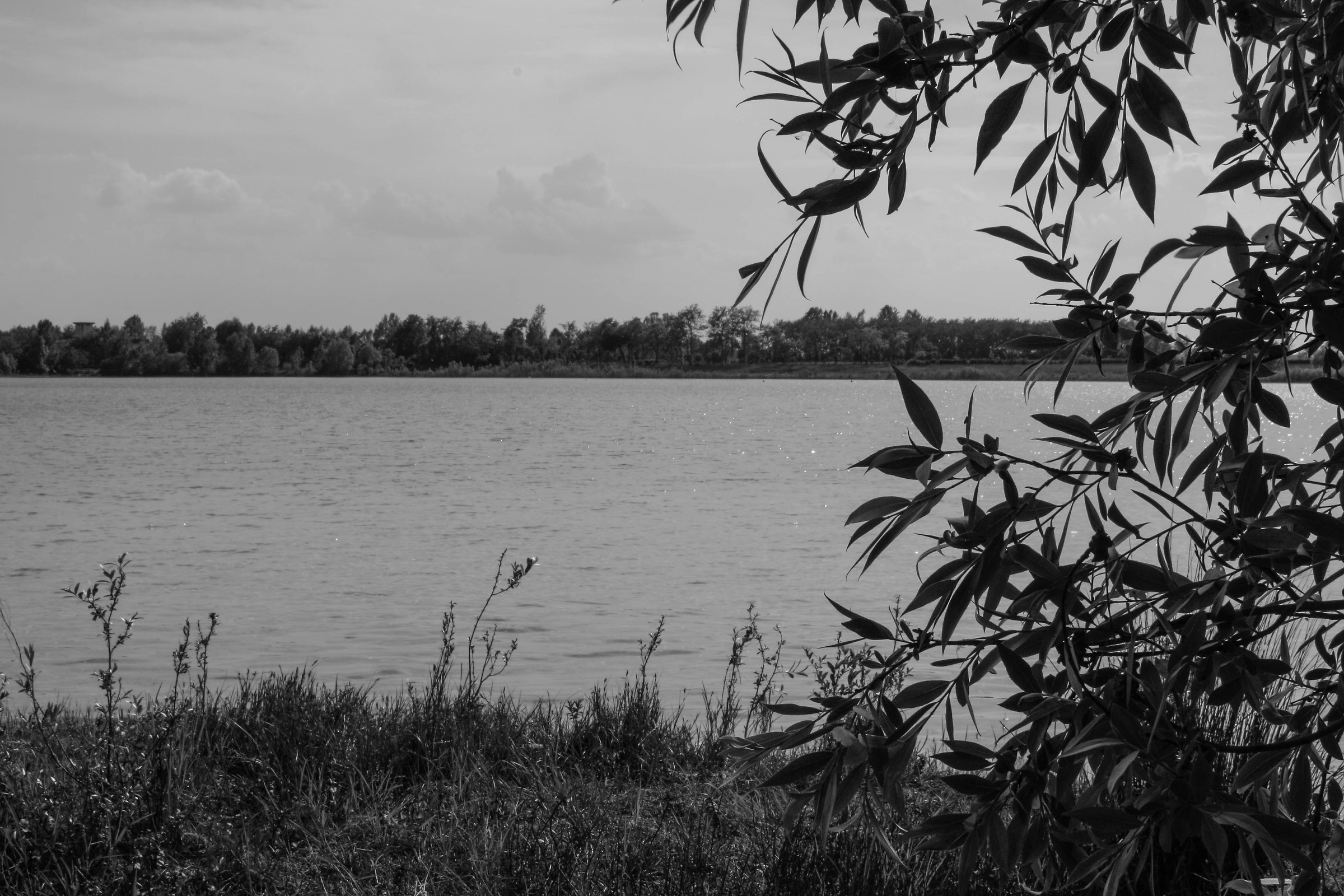 parte del lago a sud