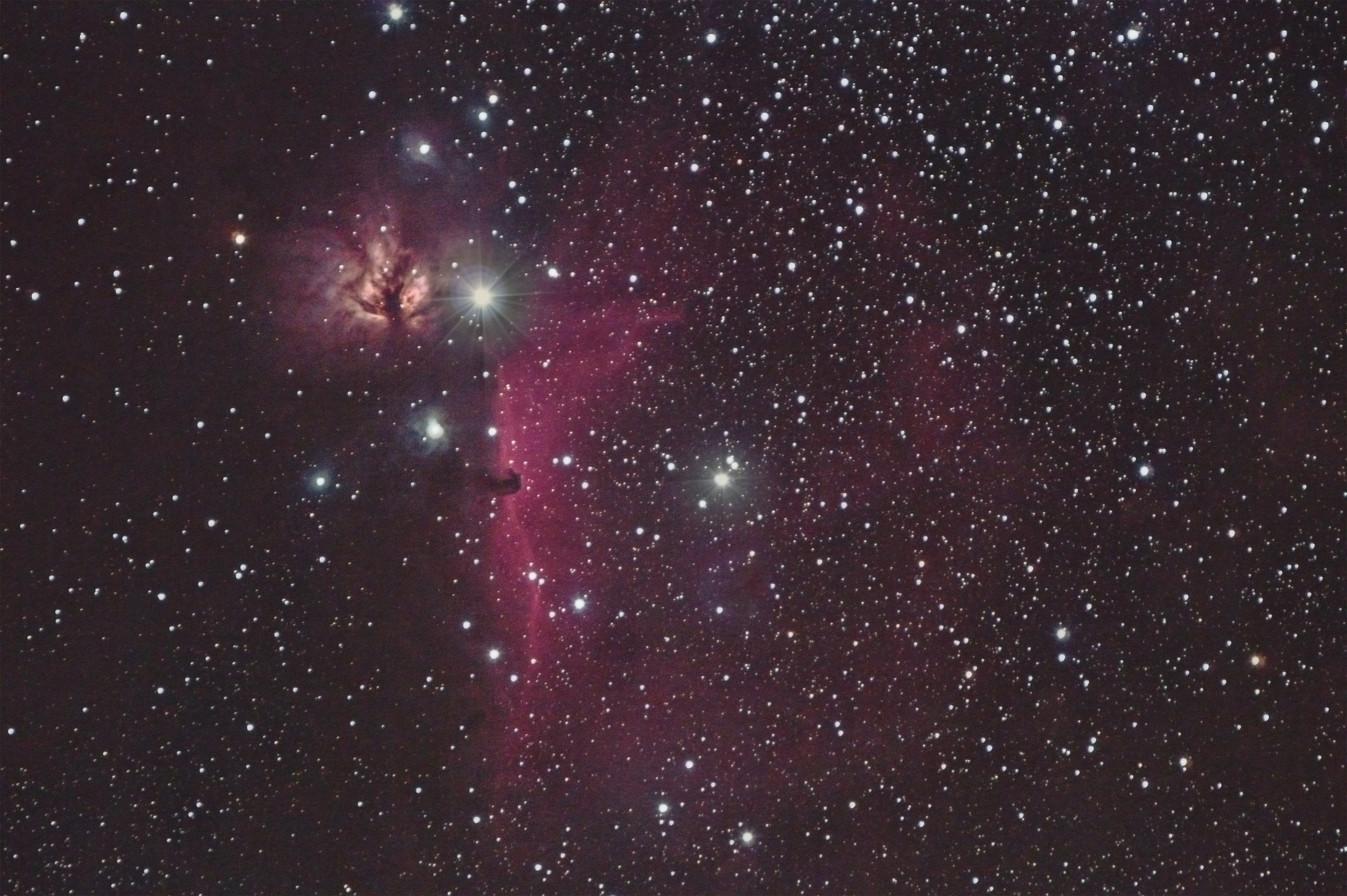 Fiamma e Testa di Cavallo