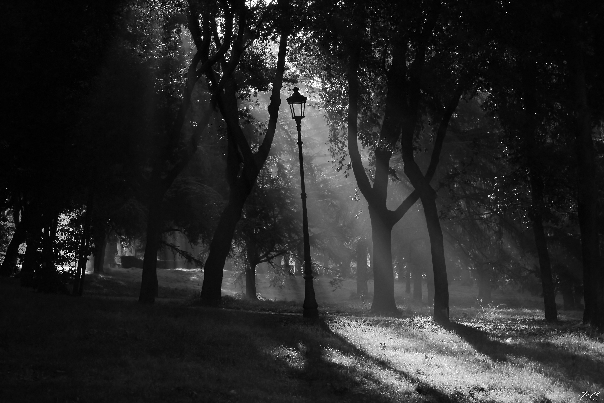 to sunlight lamppost