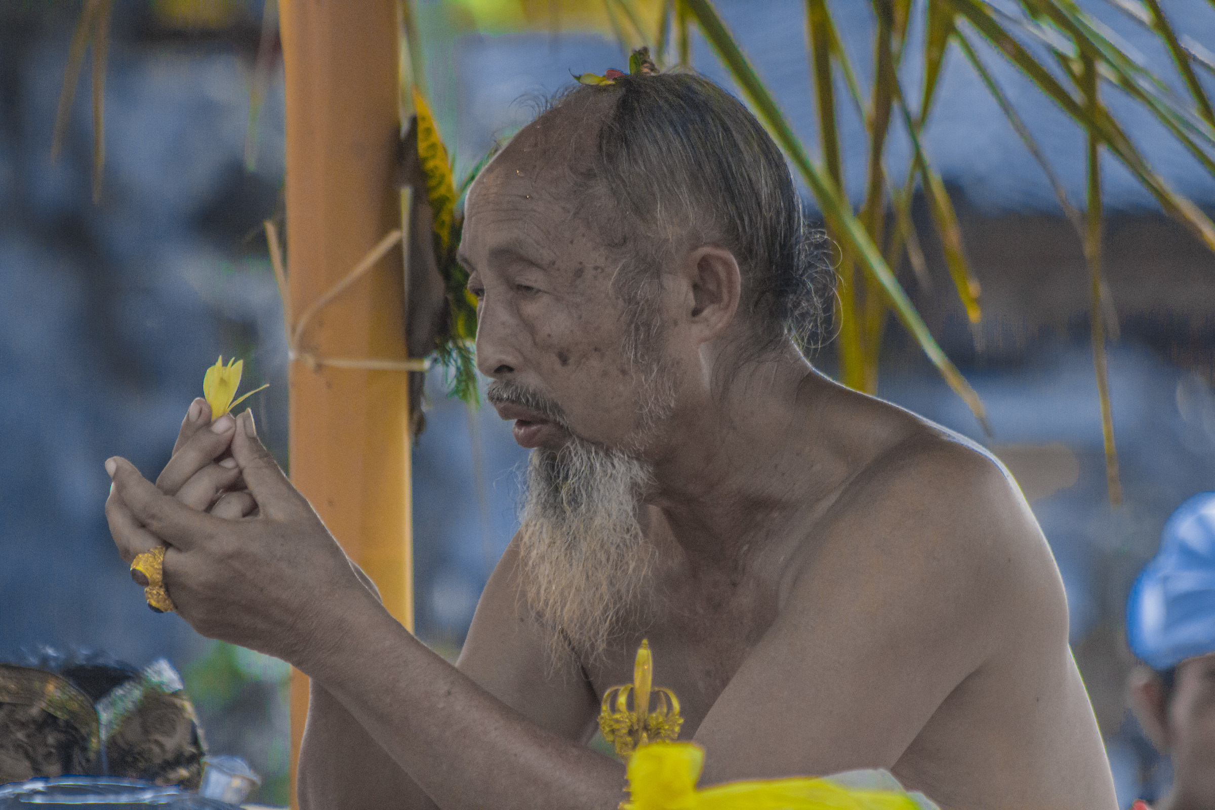 Priest in the Temple