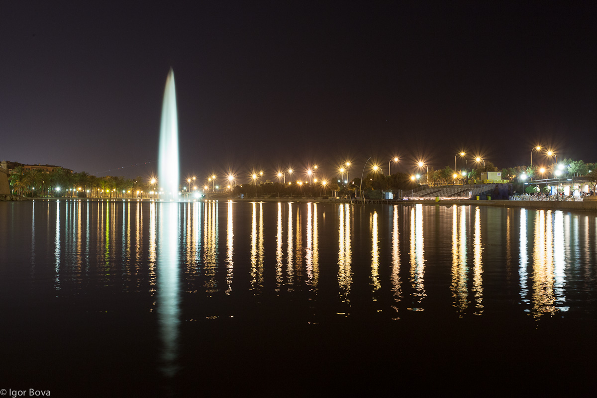 Cattedrale di Palma, la fontana
