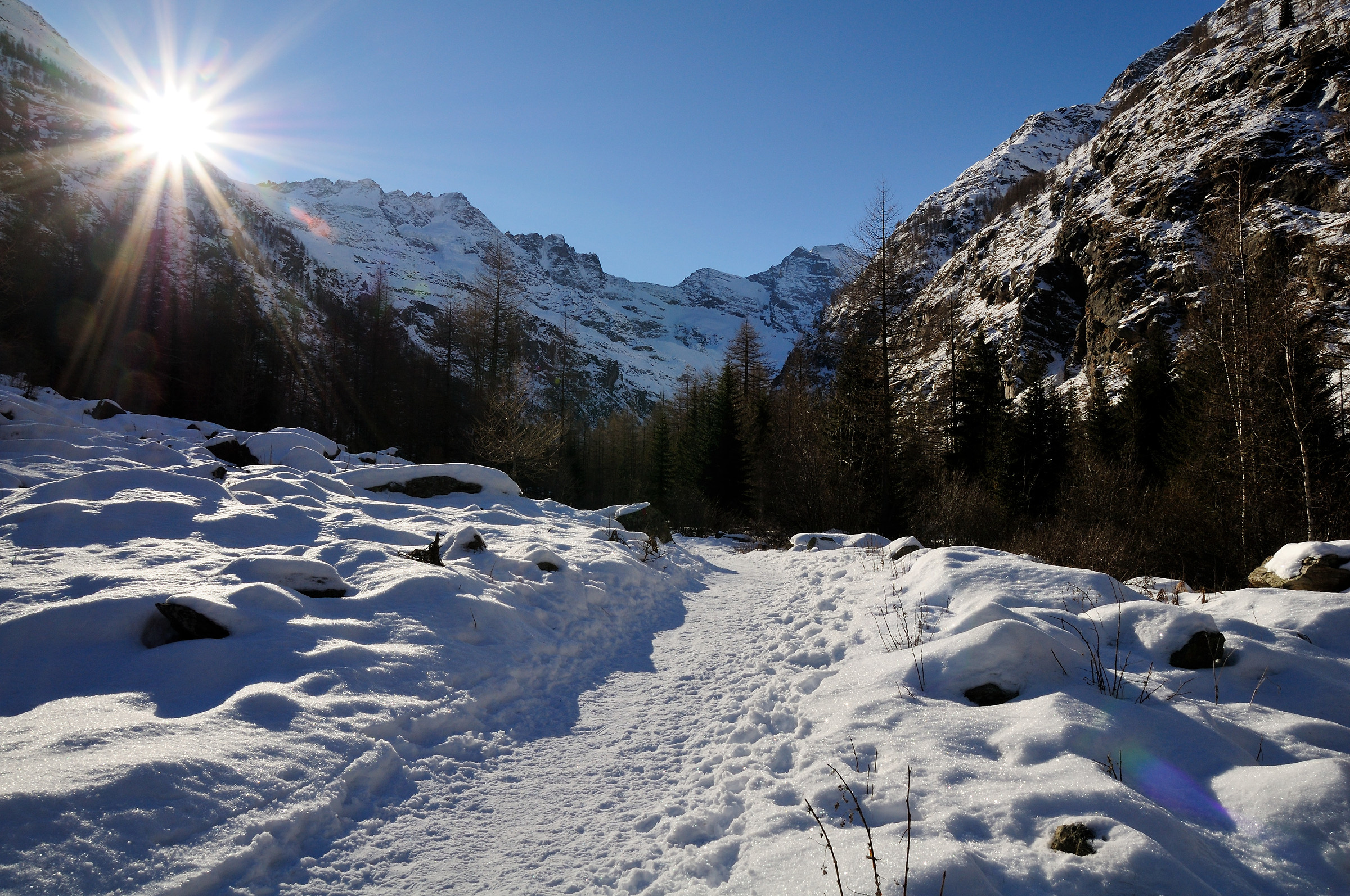 Neve nel Parco Nazionale Gran Paradiso