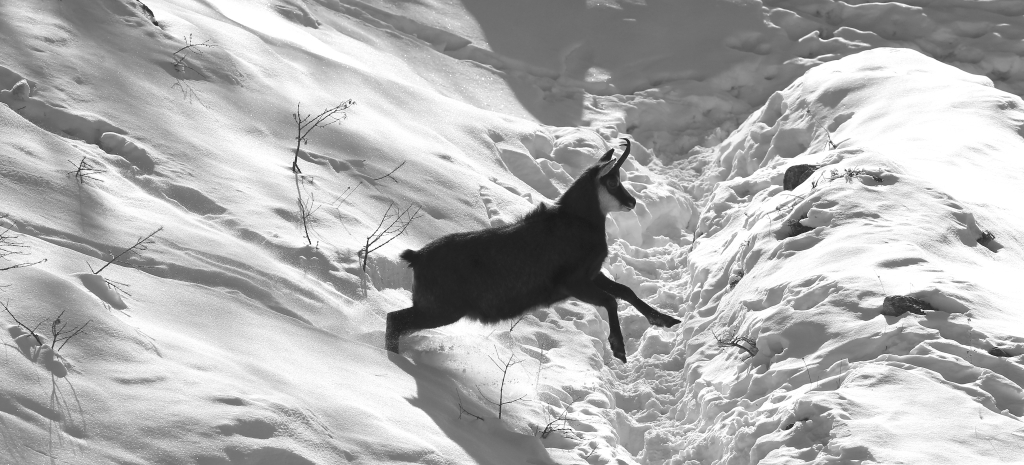 Finally ... ... snow !!!