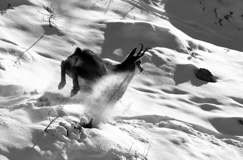 Beautiful duster !!!