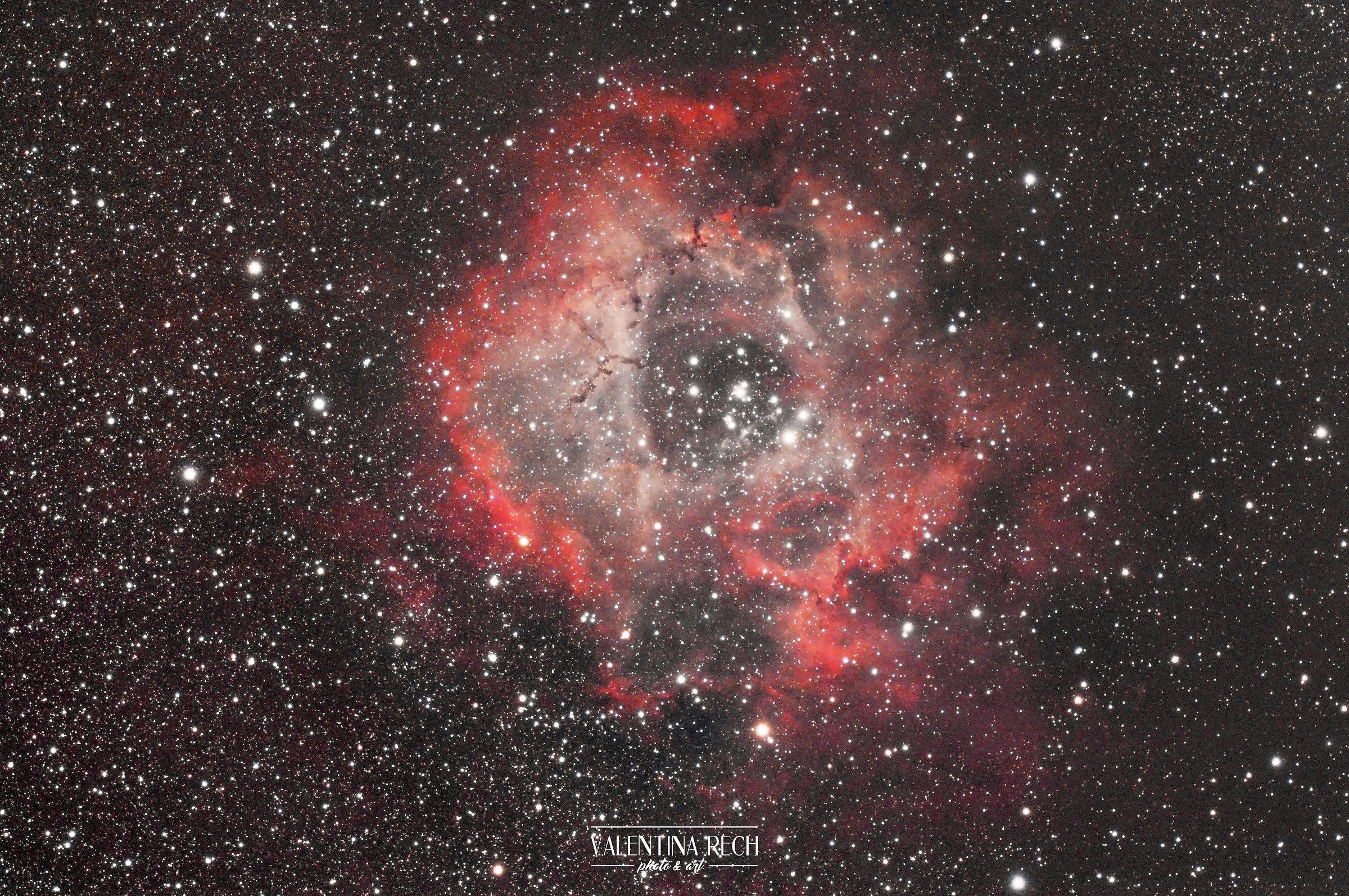 The Rosette Nebula
