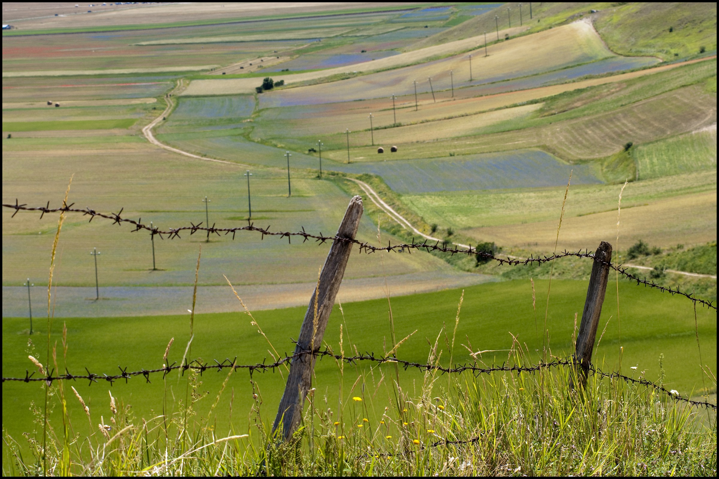 castelluccio di norcia