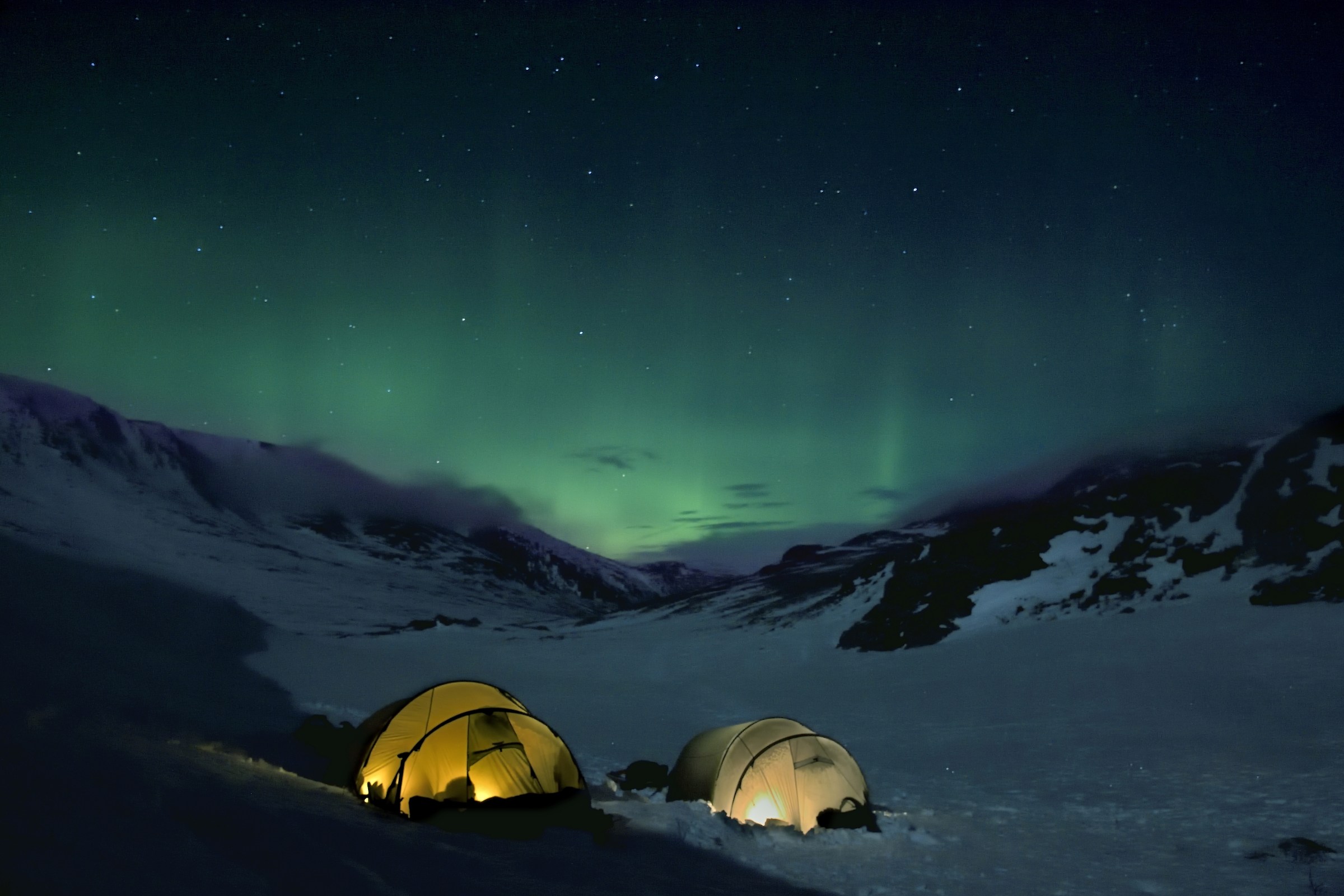 Parco di Dovrefjell 2017 -Campo base muskox expedition