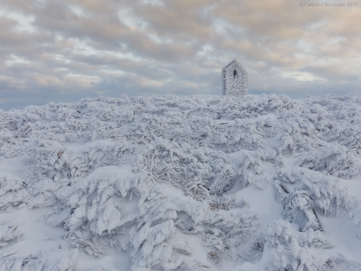 Il paradiso può attendere