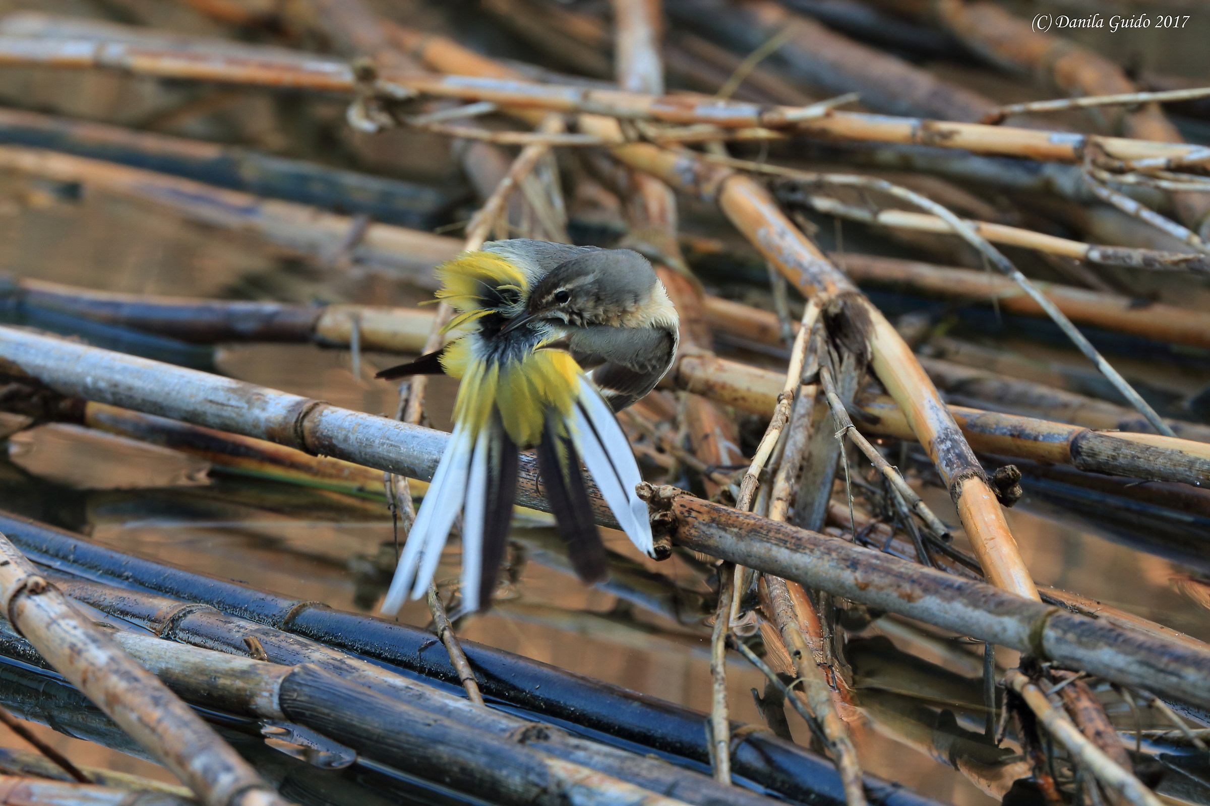 un momento di intimità