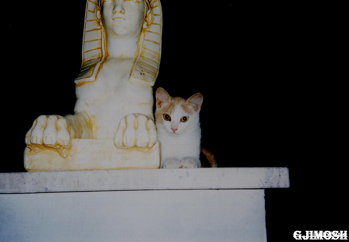 - Ancestral - 1 - Pilly