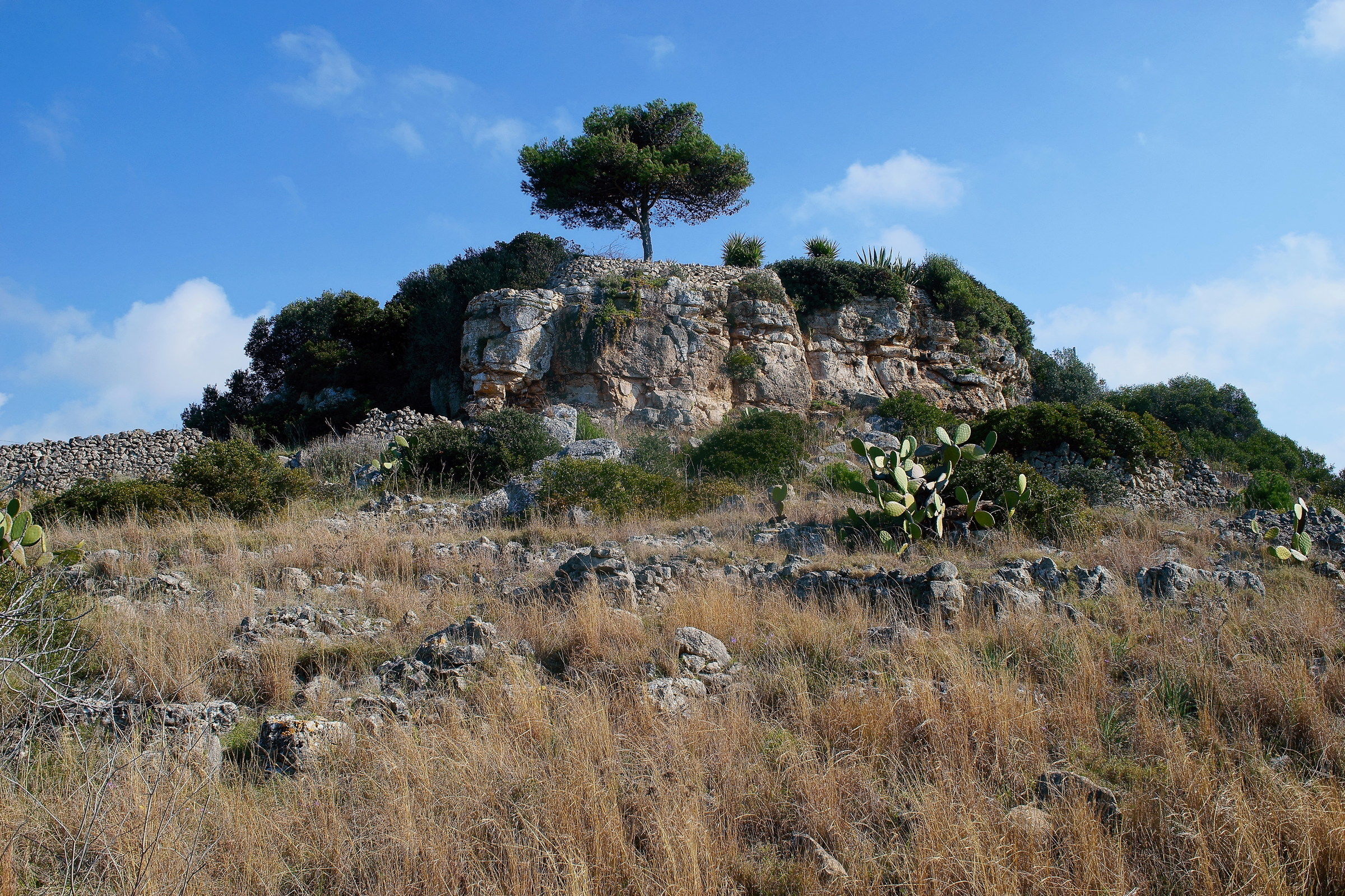 Nikon Nikkor 28/85 f3.5.-4.5 ai-s Resa incredibile.