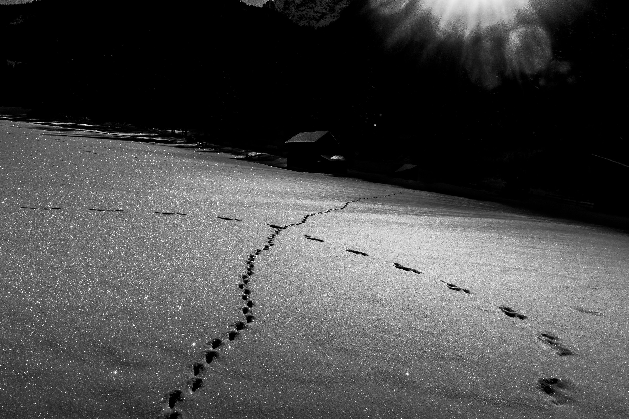 incrocio pericoloso in val fiscalina