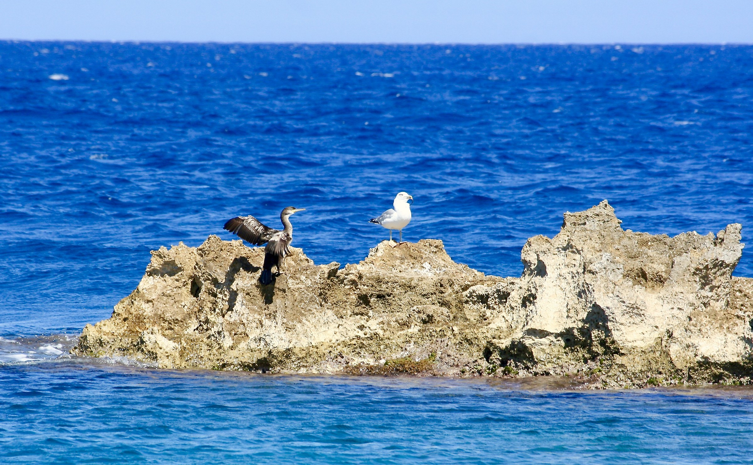 nel blu dipinto di blu