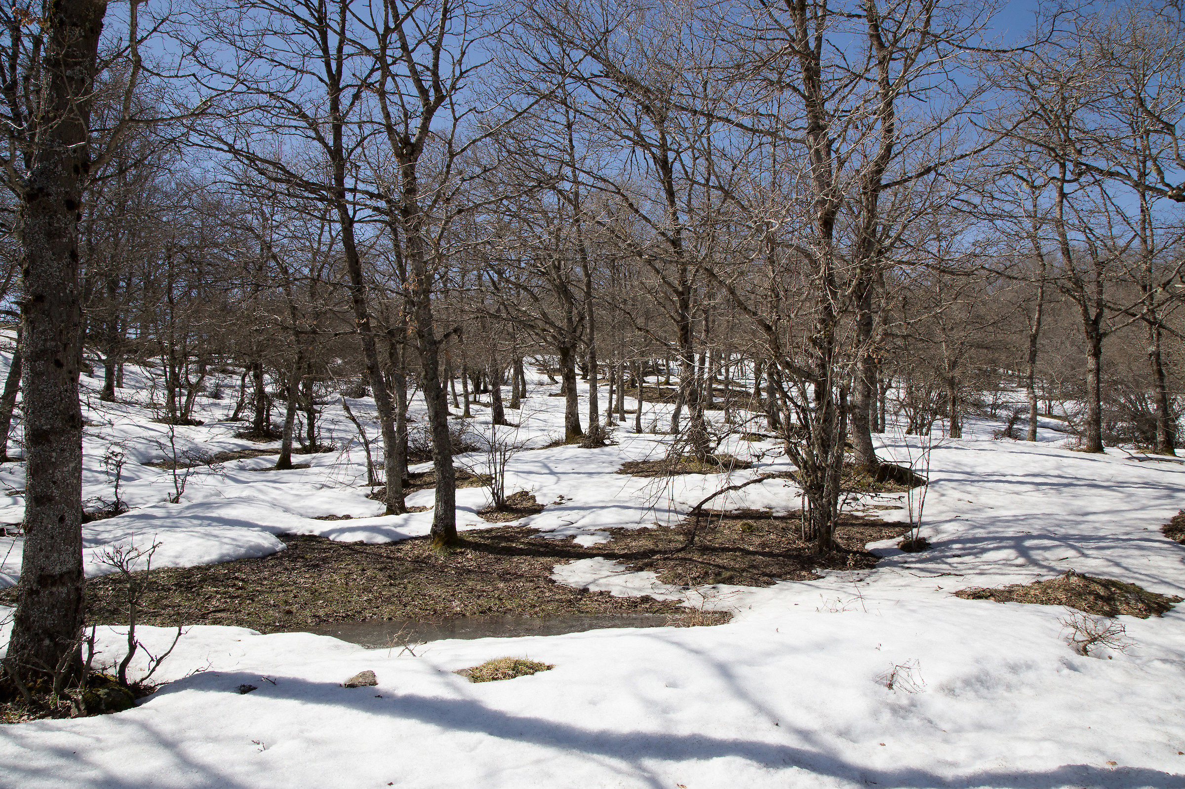 The snow where you do not expect