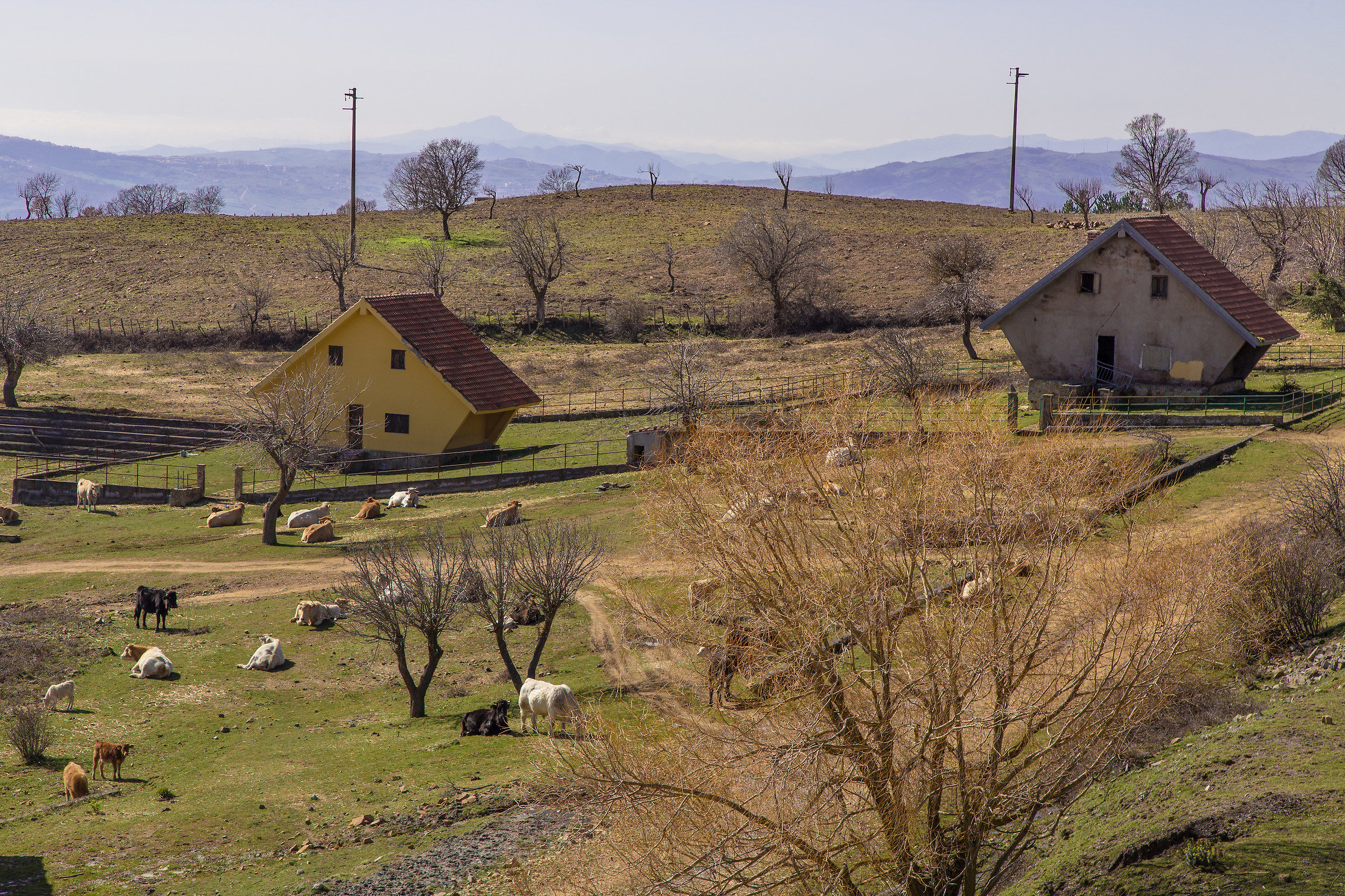 Architecture in the country