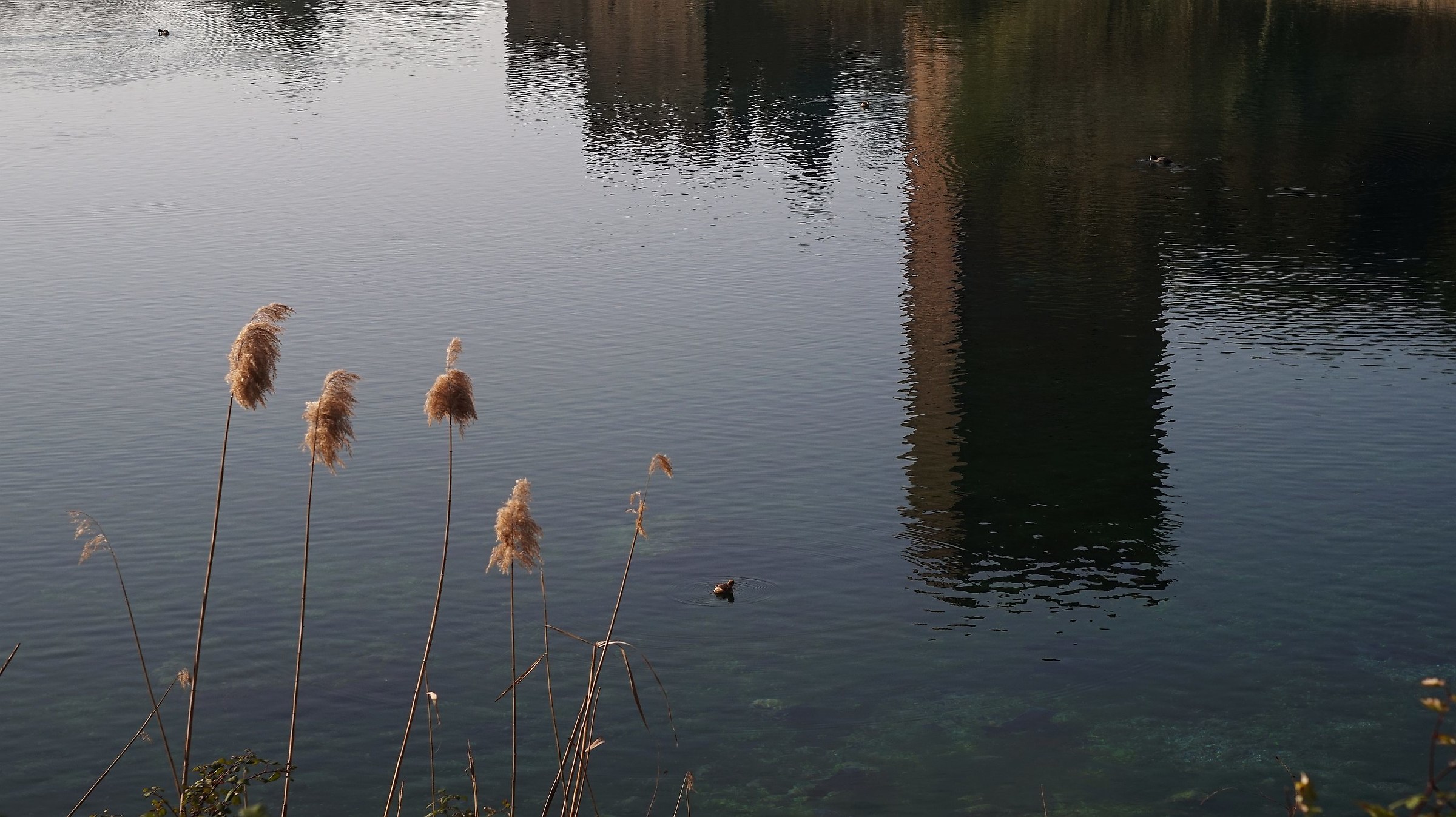 Reflections of Ninfa