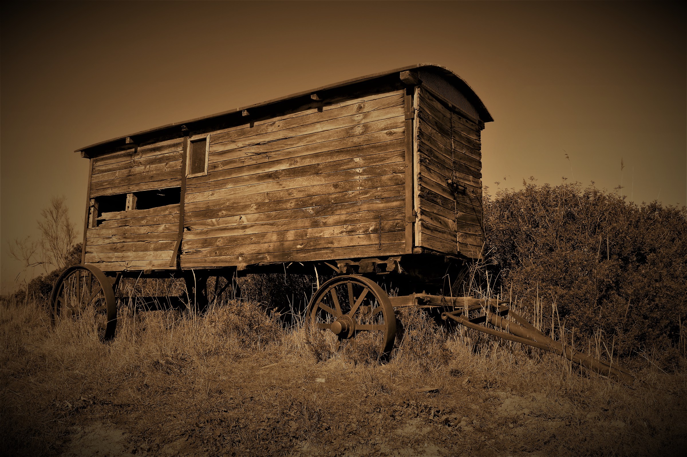 old bandwagon (old effect)