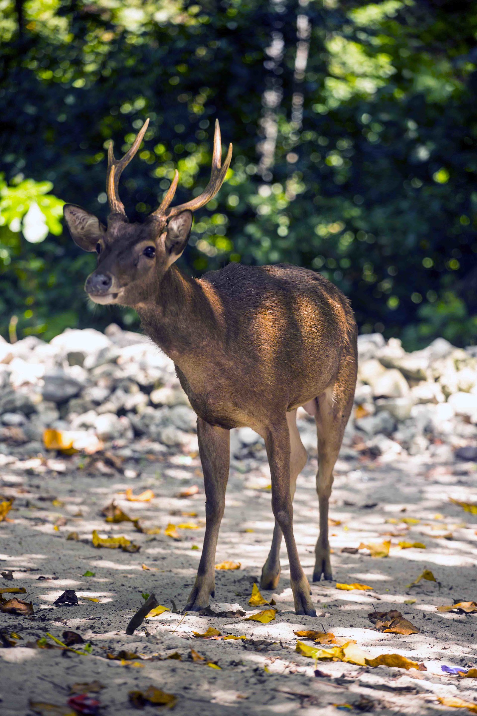 Meeting on an Indonesian beach