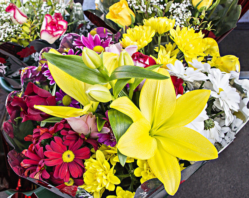 A tutti gli amici e le amiche
