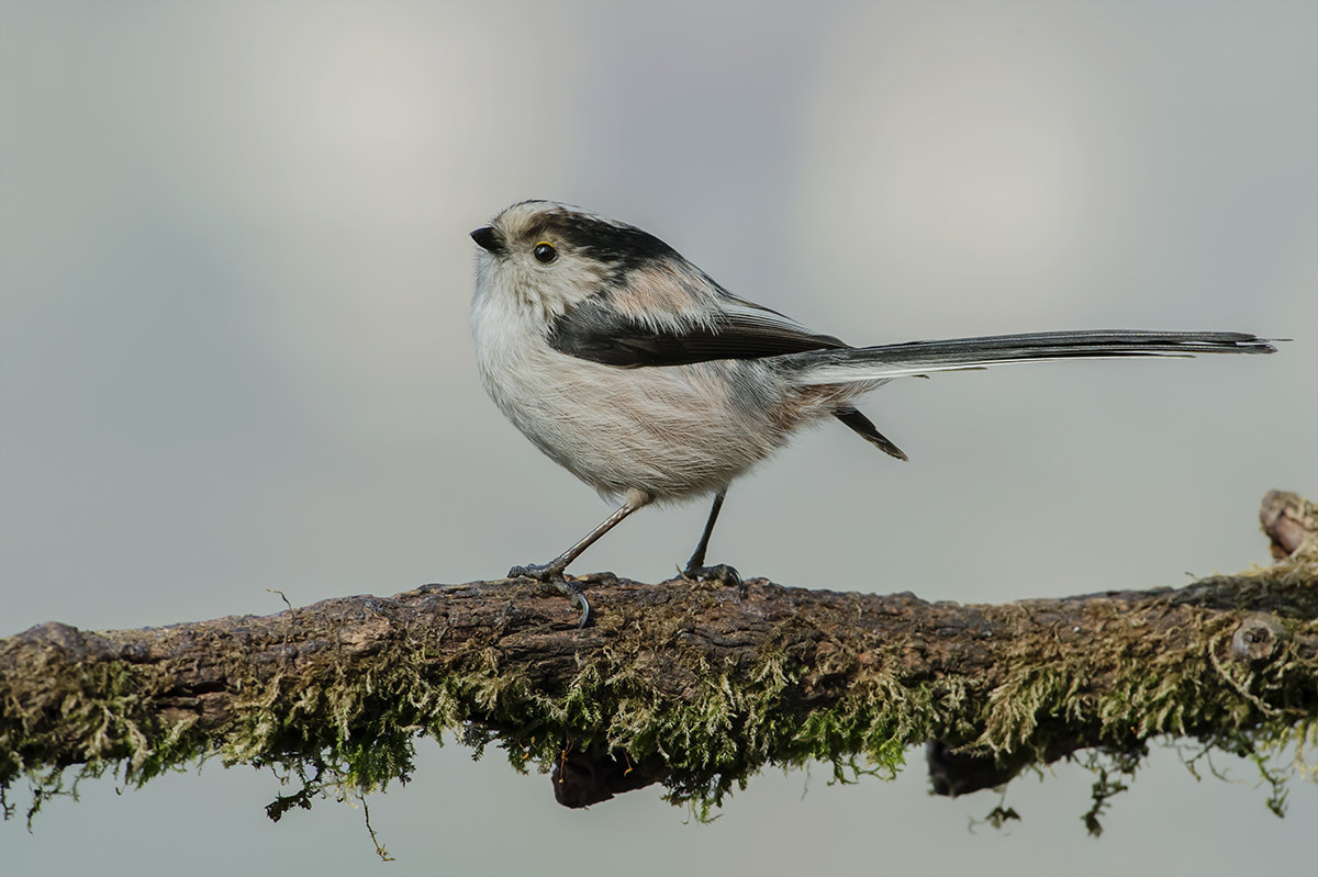 voglio fare la modella!!!!!