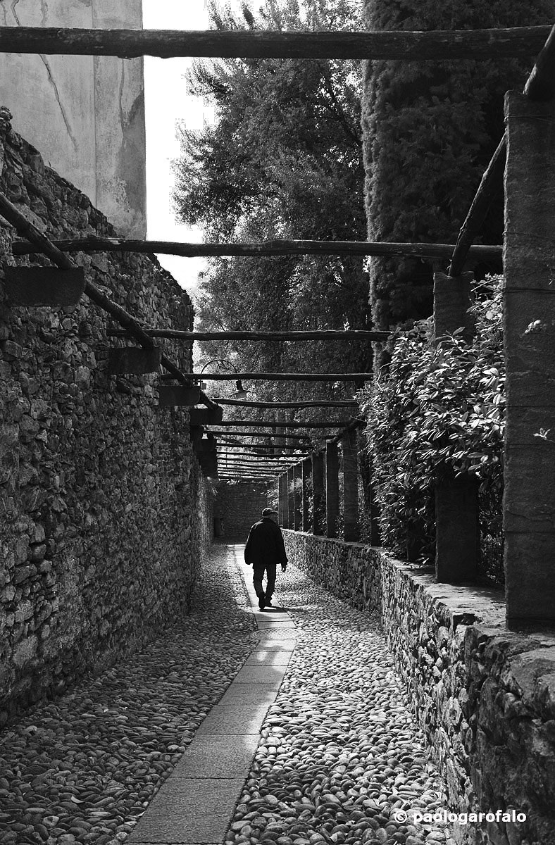 In the middle of the road