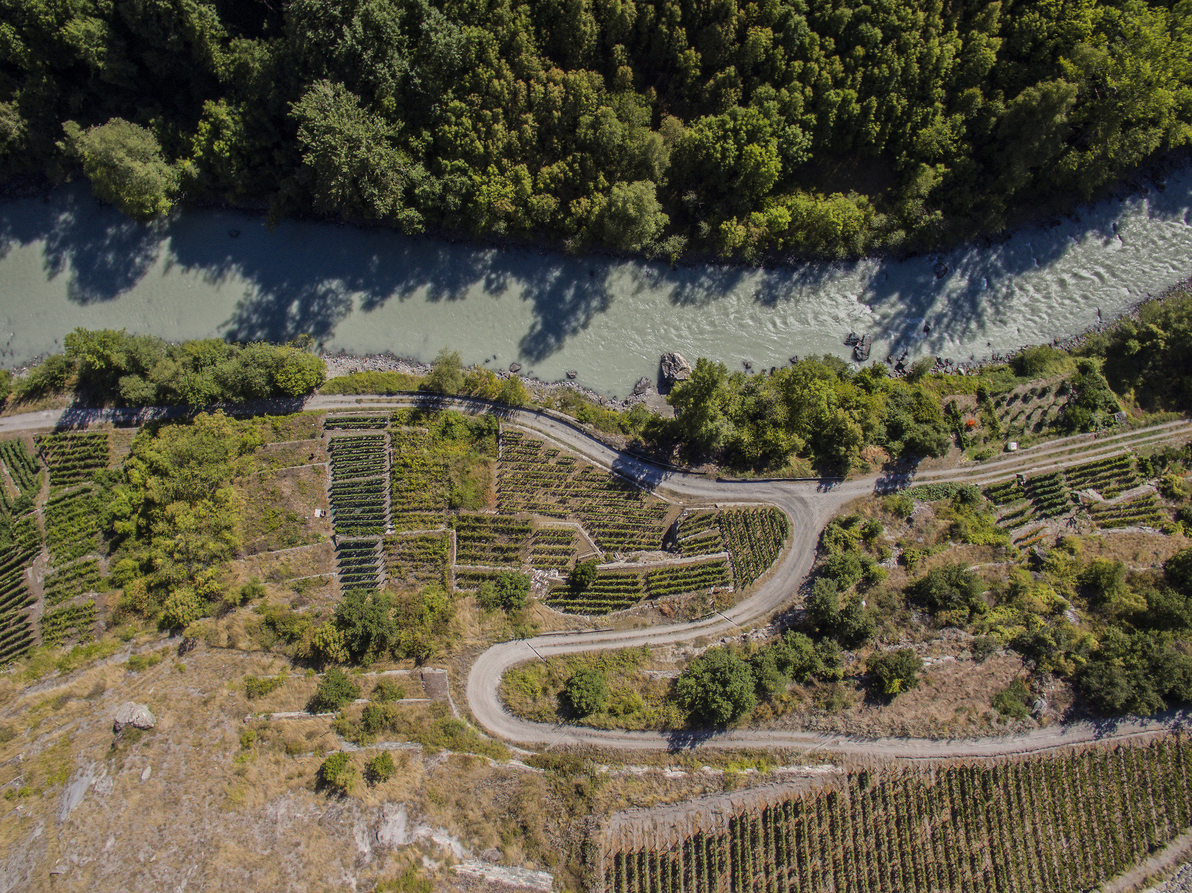 Vineyards of 'Enfer d'Arvier