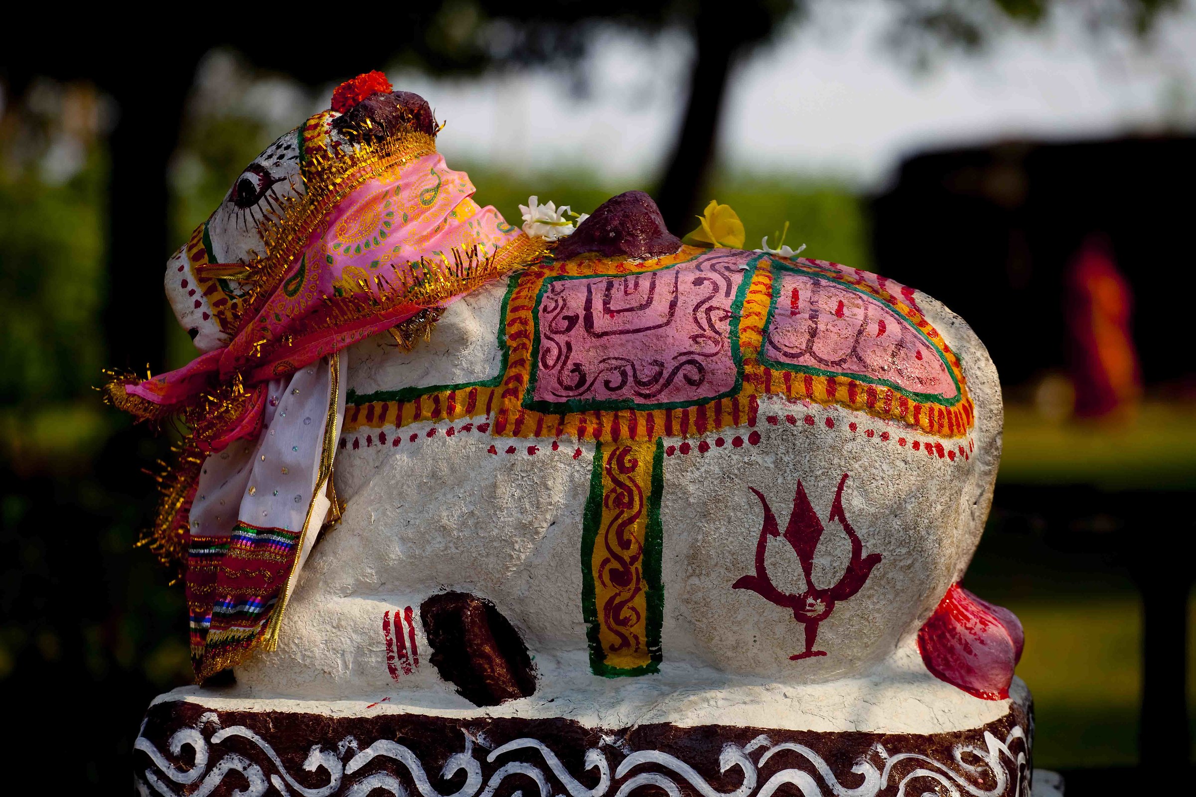Ox sacred of Hindu religion - Orissa