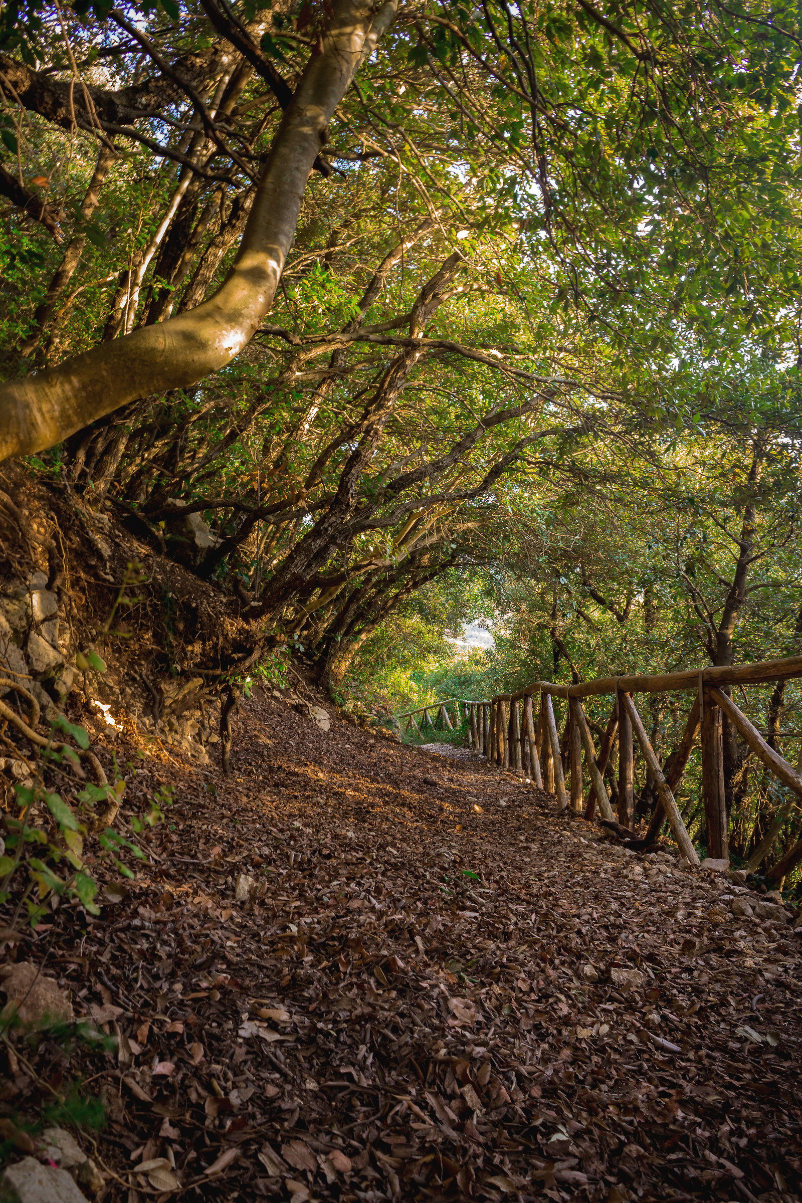 Lights and prospects