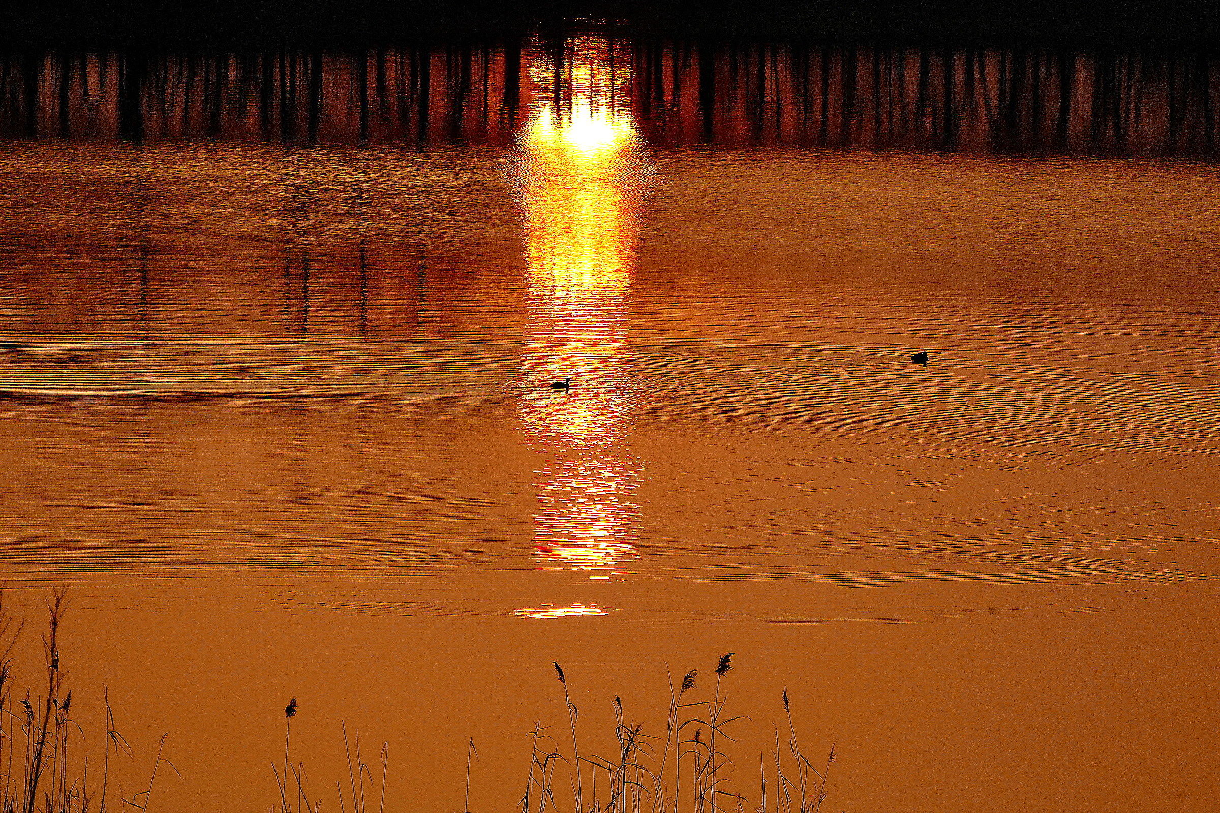 tramonto su laghetto. prima con nuova leika