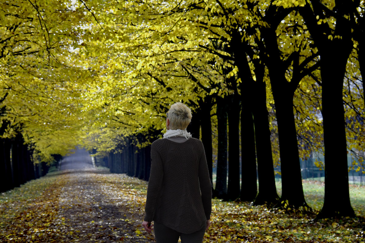 She and the Fall ...