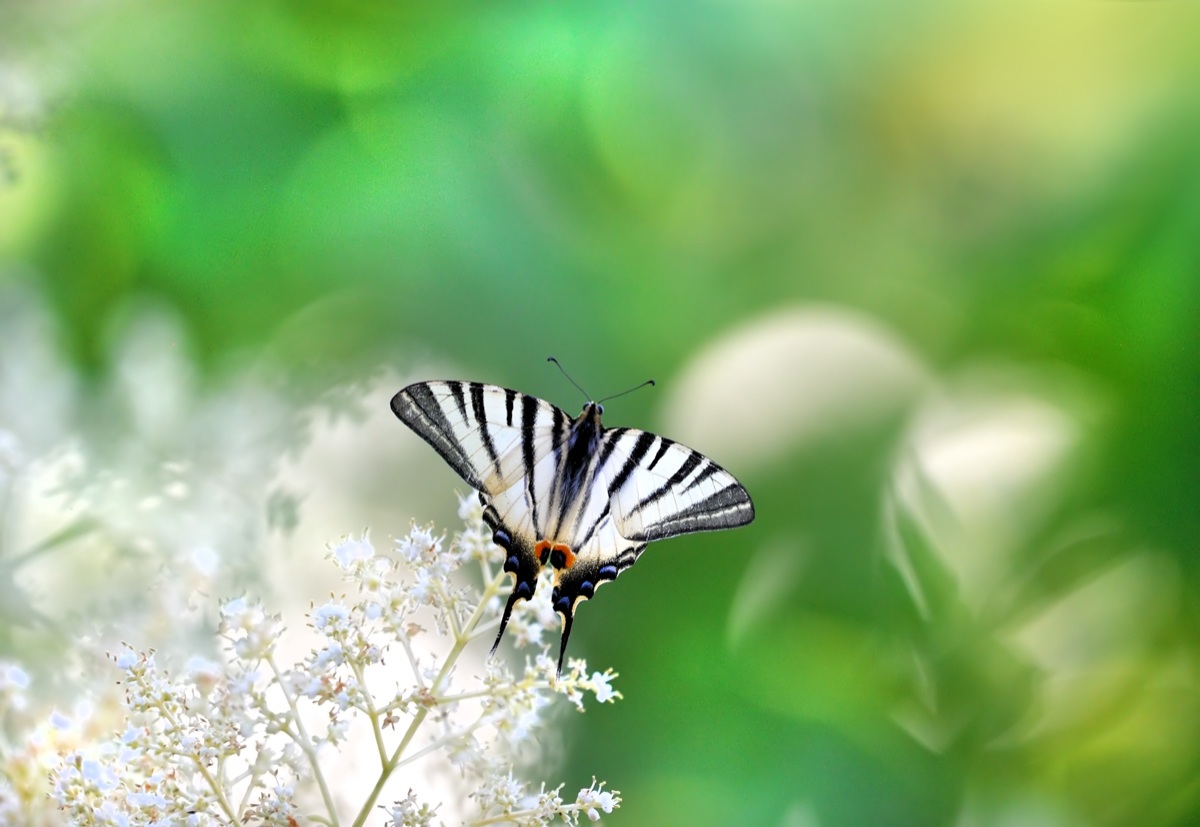 Guardando l'ignoto..