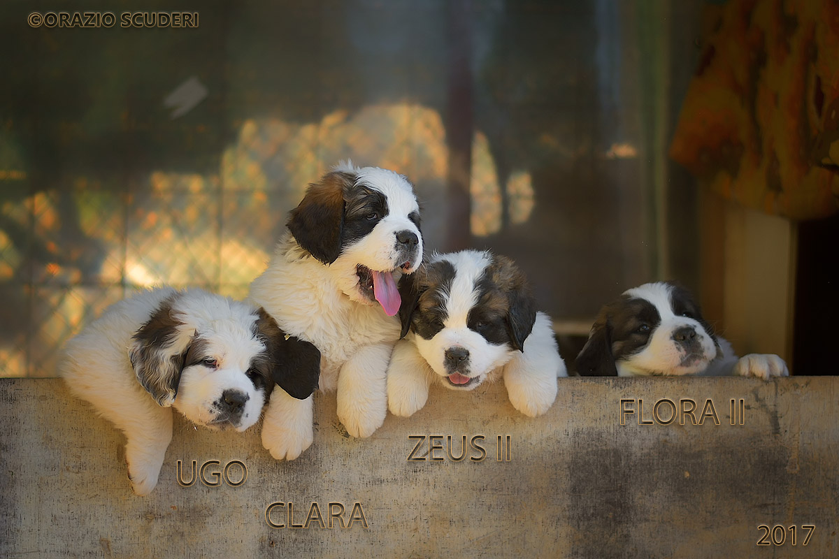 The boys of Paola and Fabrizio