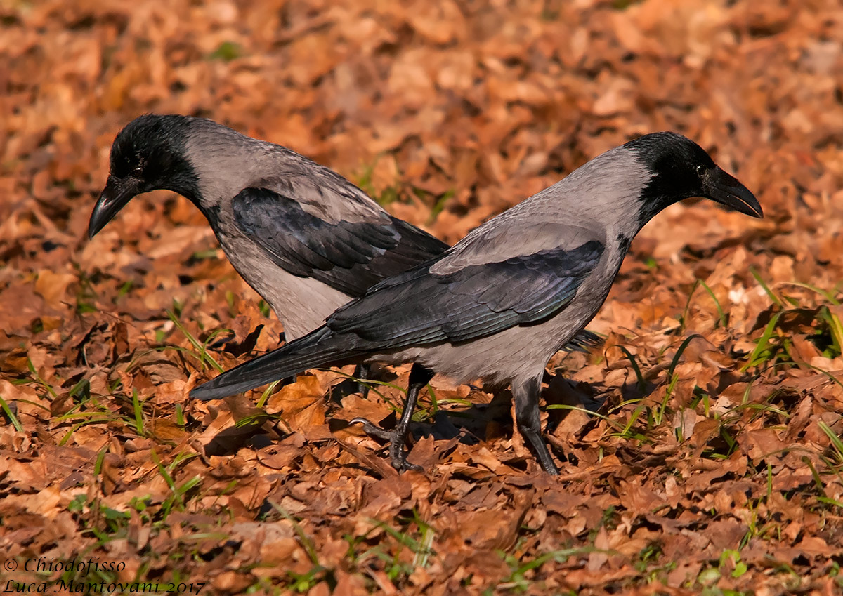 A destra o a sinistra???