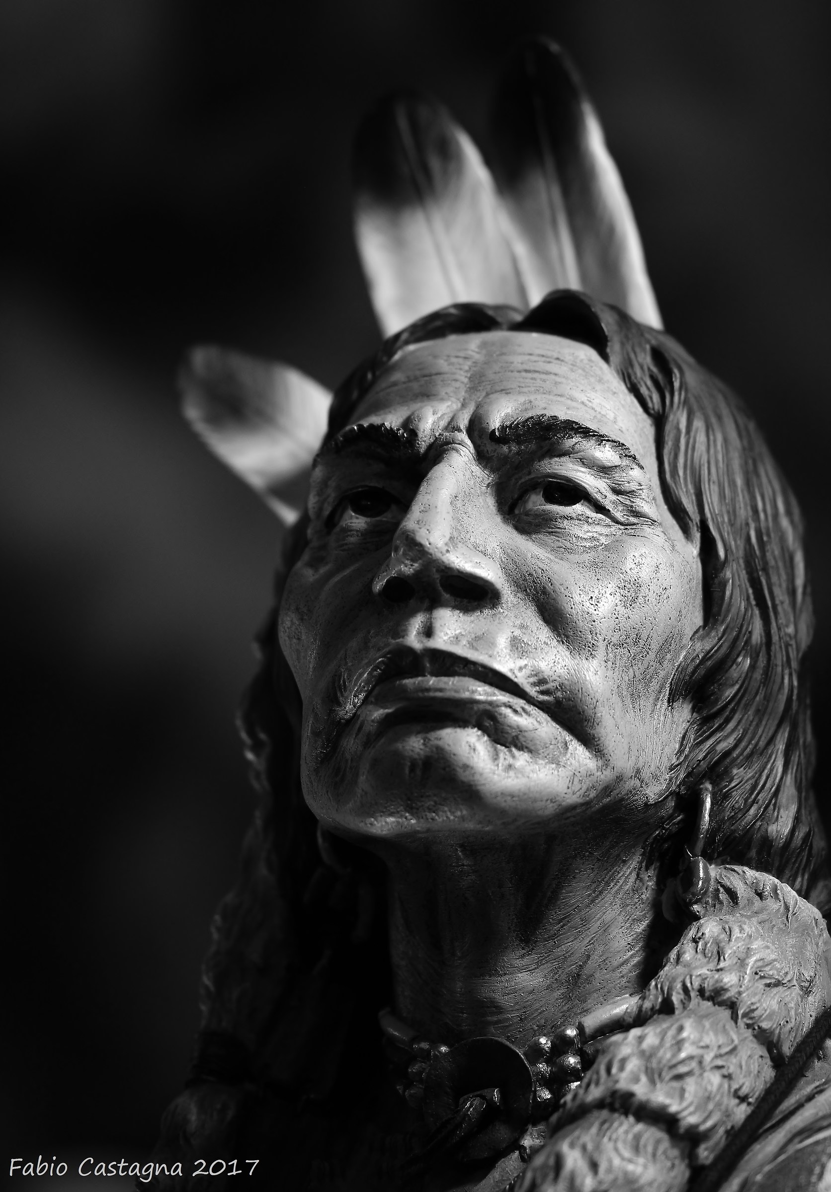 Lo sguardo di un guerriero