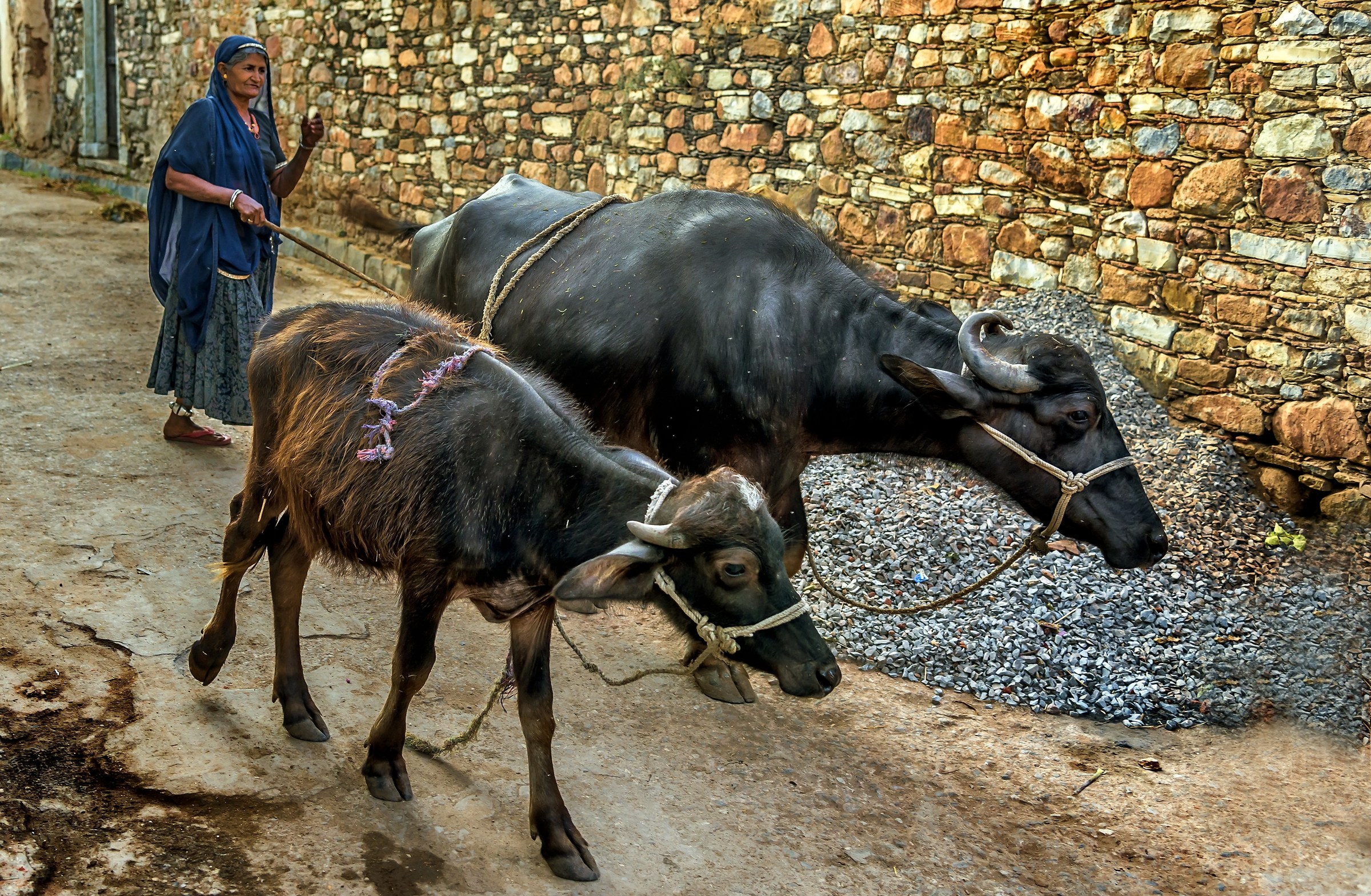 Rajasthan 2017 - In un piccolo villaggio