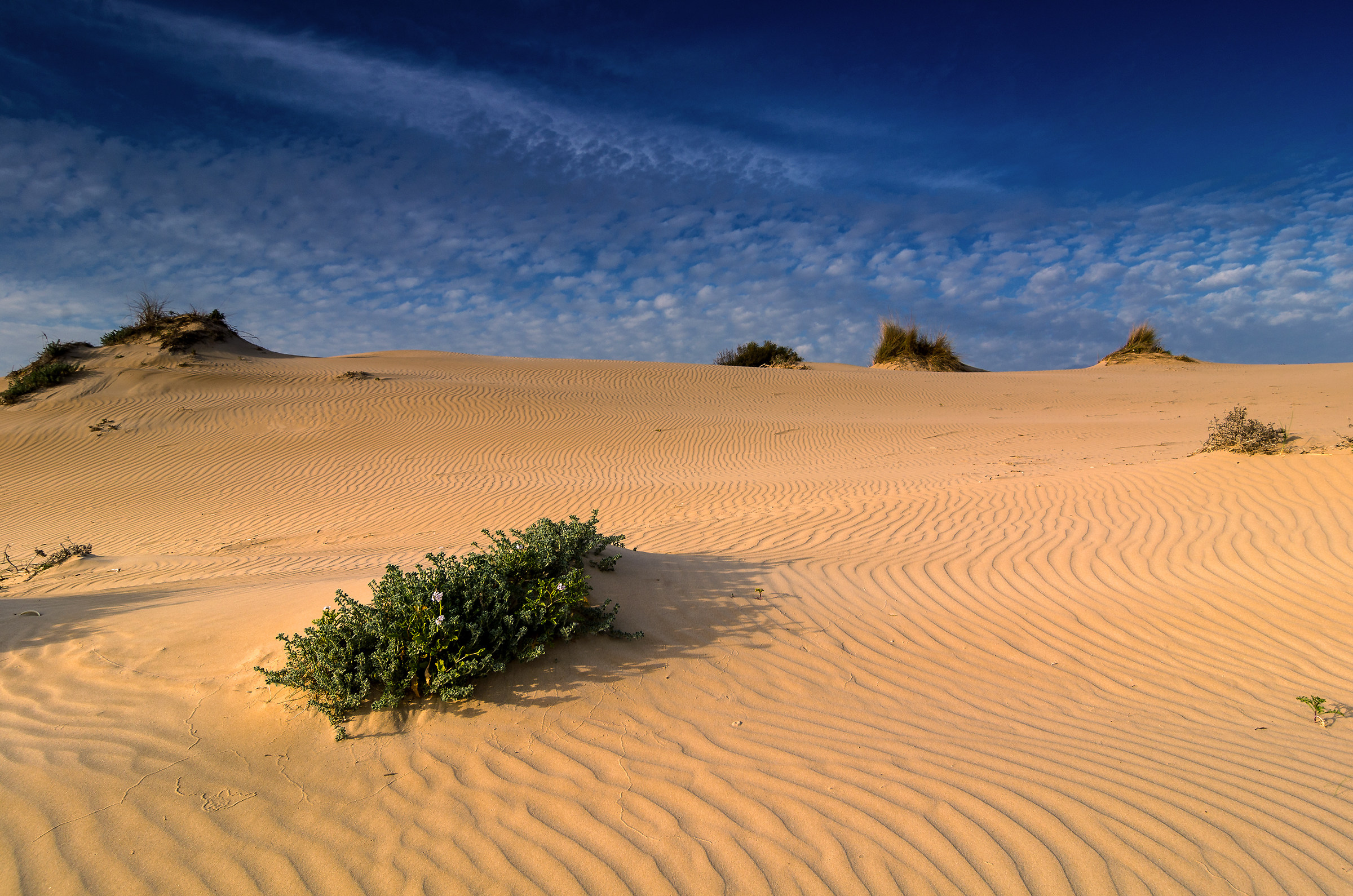 sand and sky
